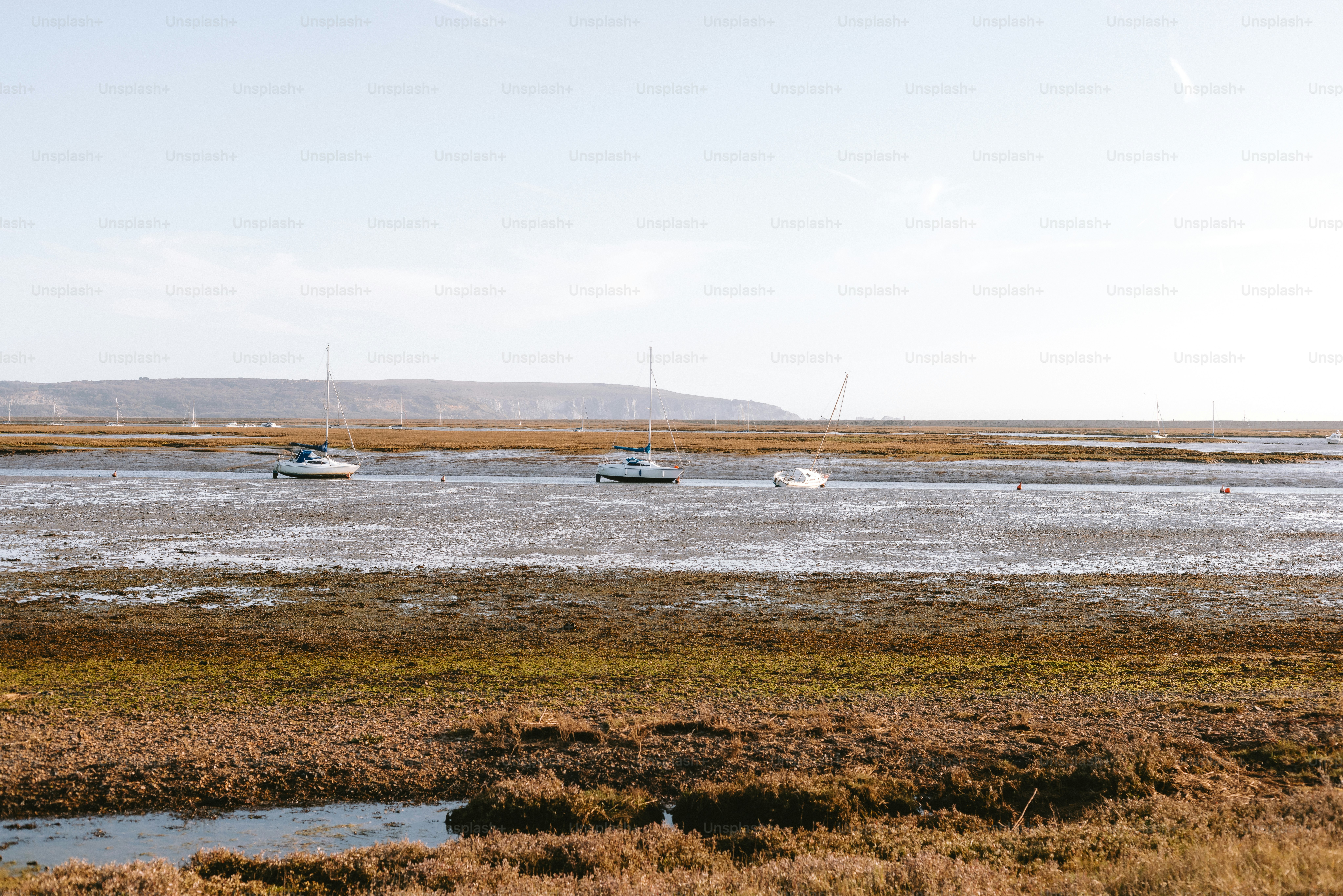 Boats are in a muddy bay with a field in the foreground.
