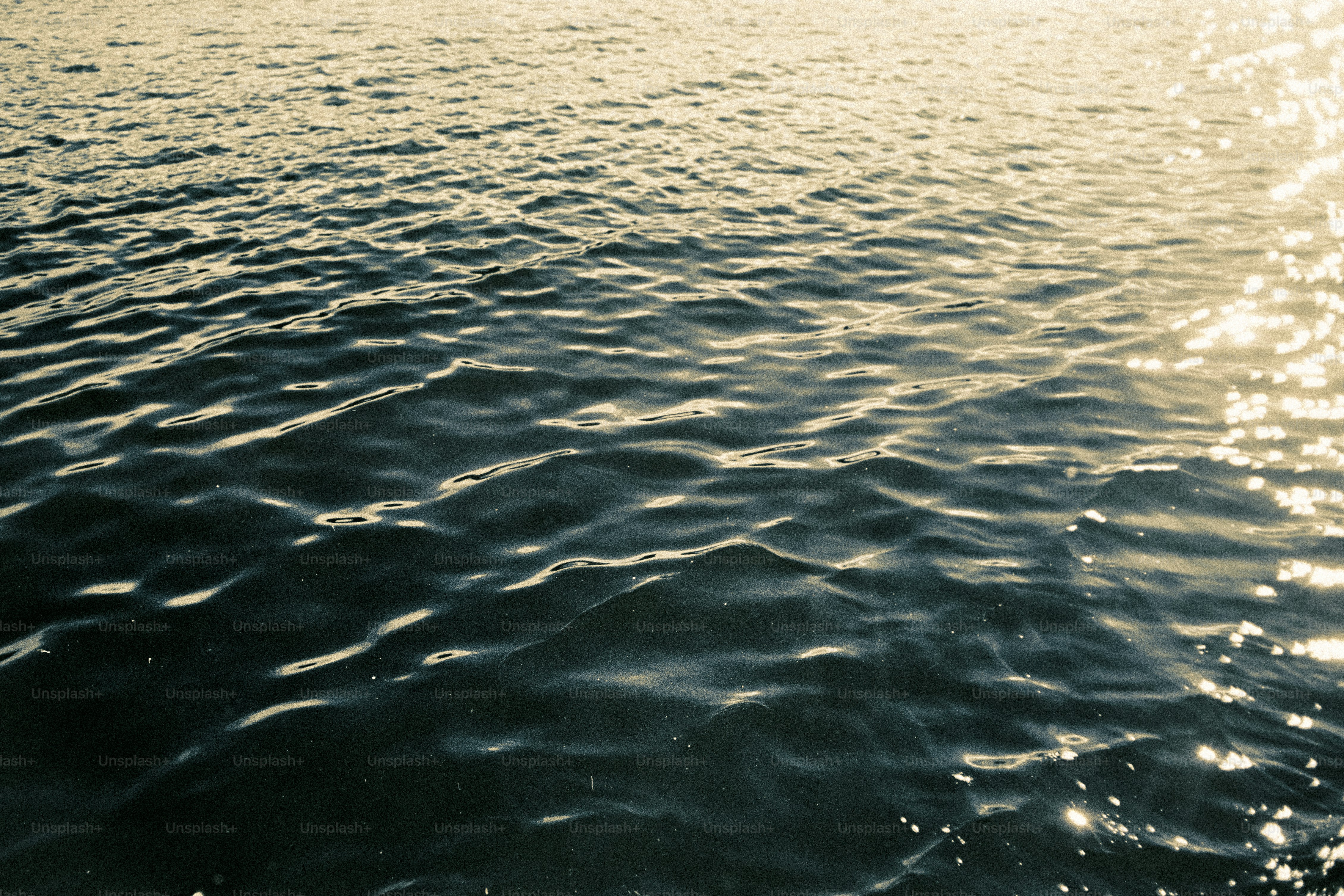 The image shows a serene expanse of water.