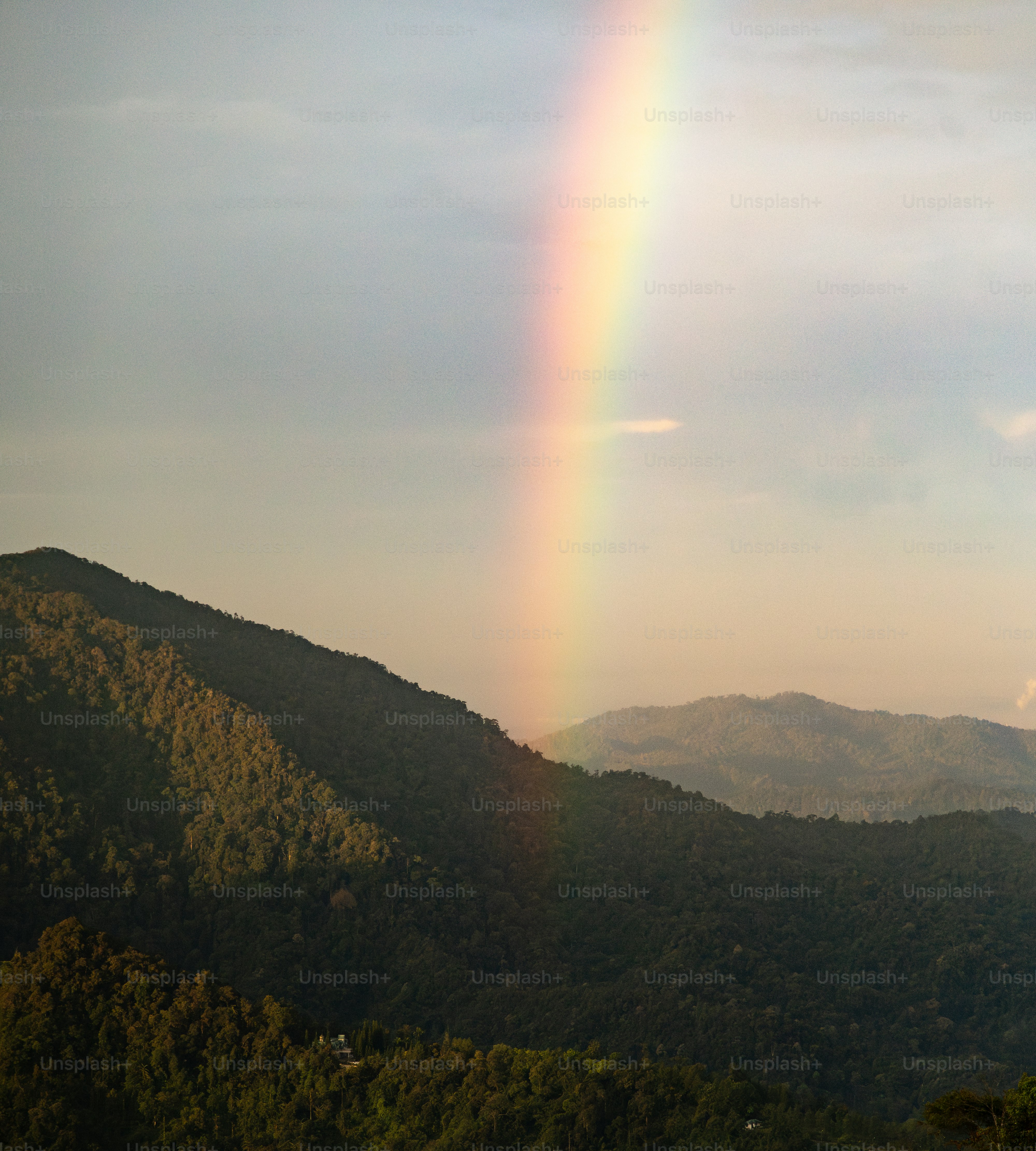 Imágenes de Elementos De La Naturaleza | Descarga imágenes gratuitas en  Unsplash, image size:3000x3332