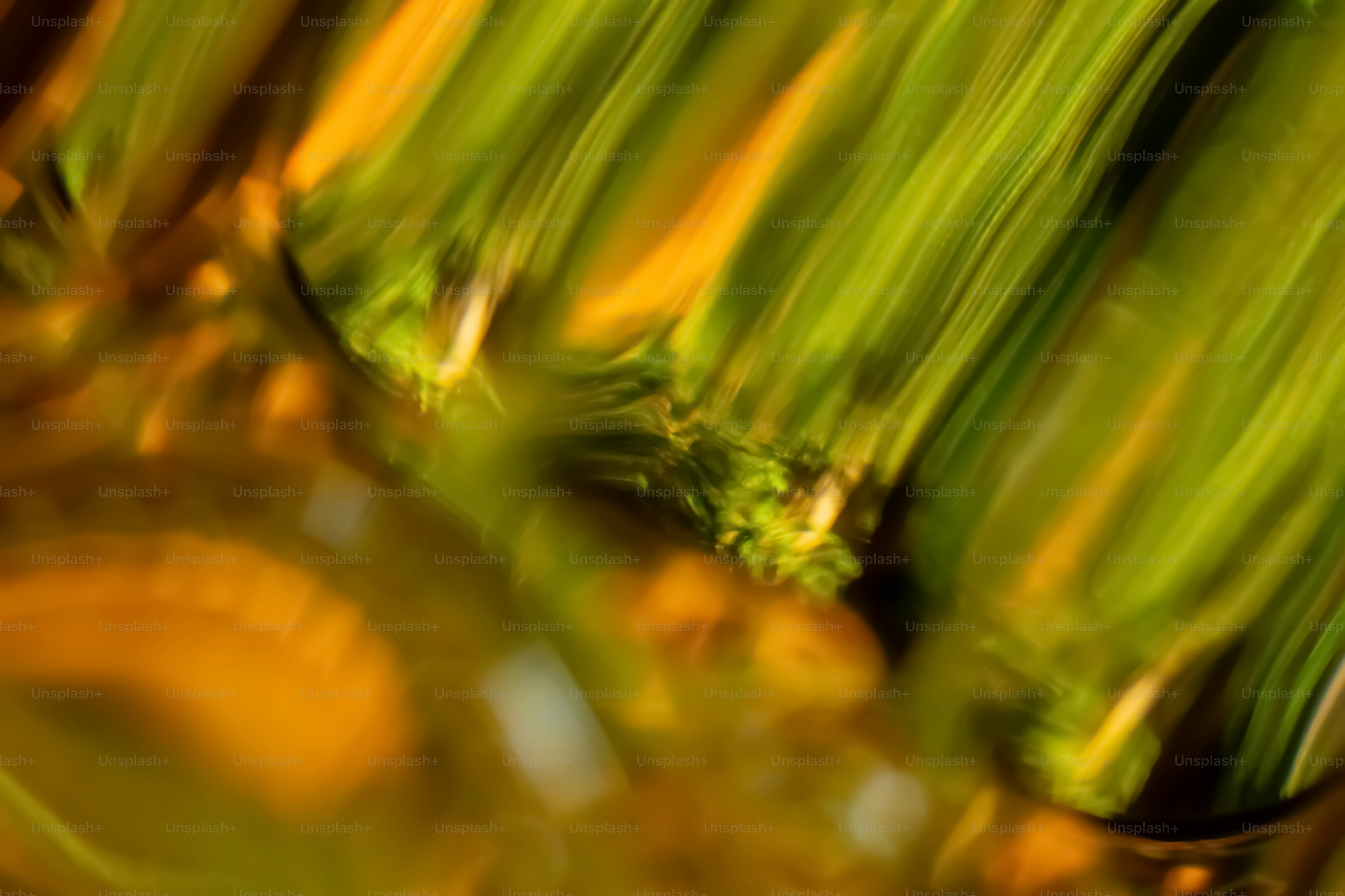 Blurred image shows green and gold abstract lines.