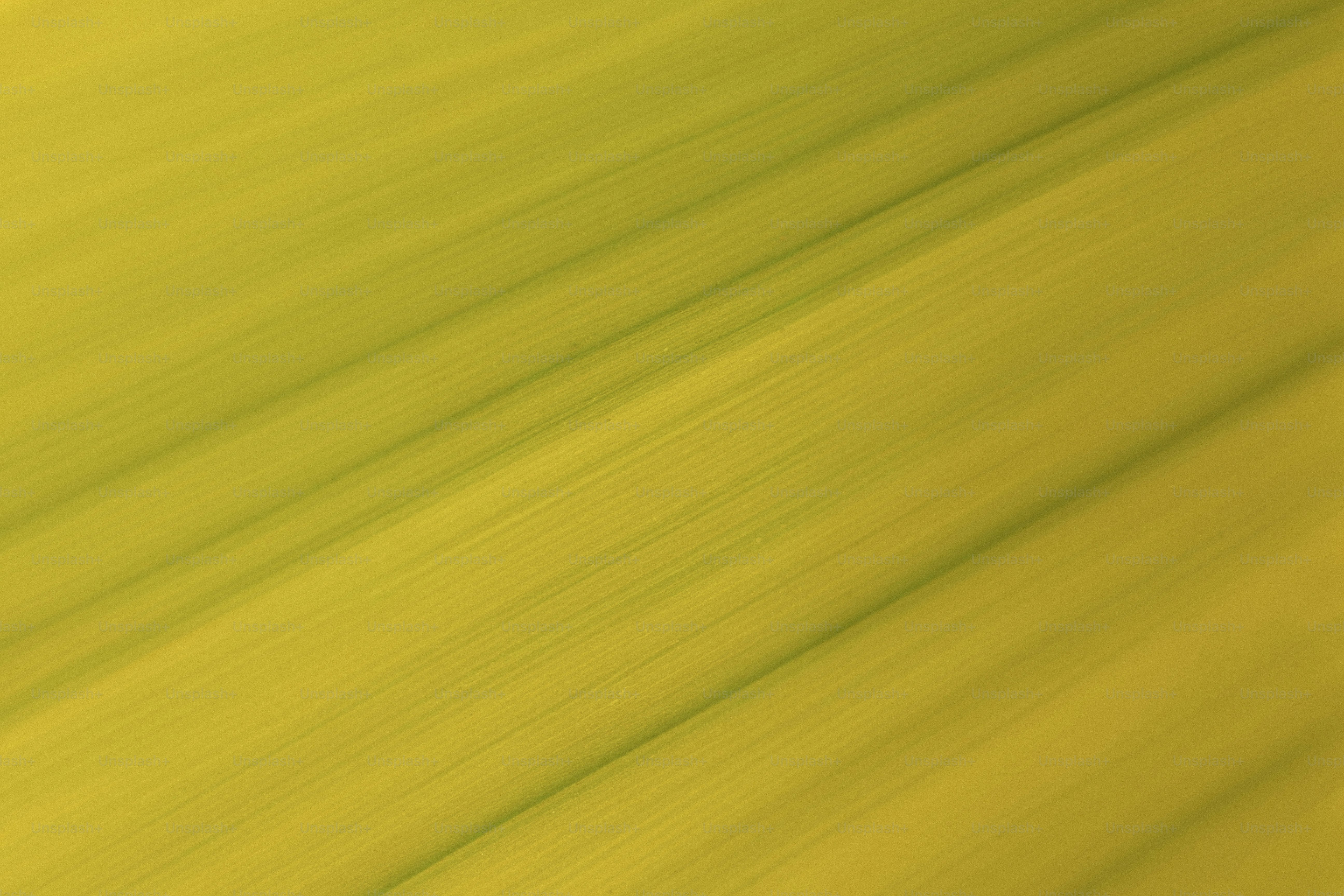 Diagonal green and red lines create an abstract pattern. photo ...