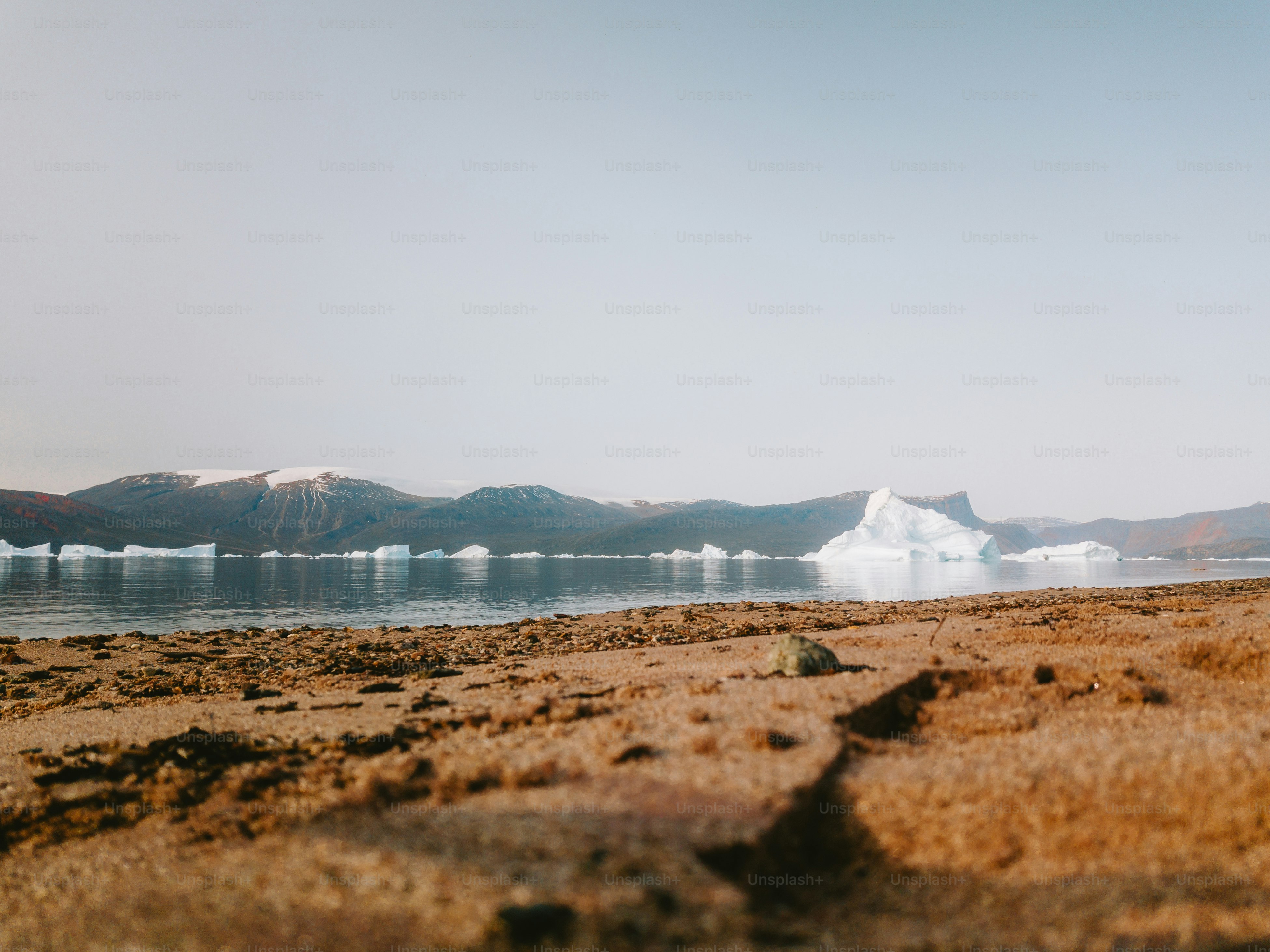 Icebergs float in a clear, beautiful bay.