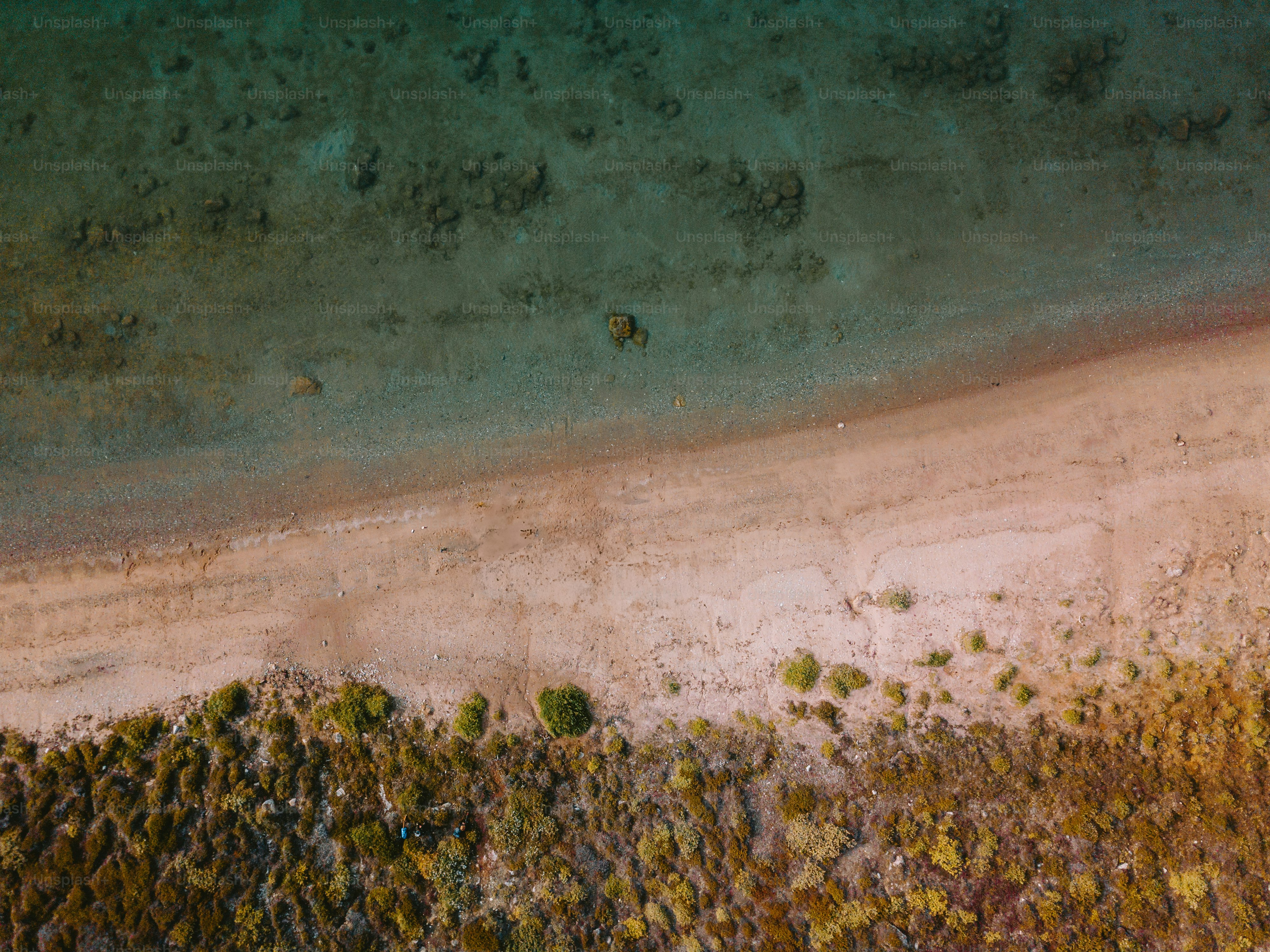 A beach meets the ocean's calm waters.