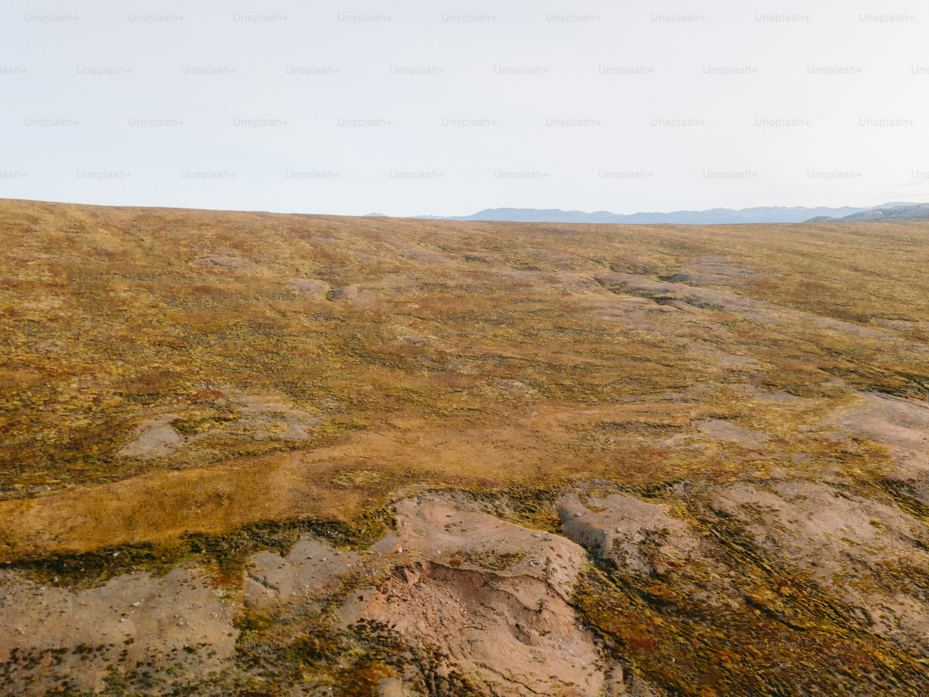 A grassy plain extends toward the horizon.