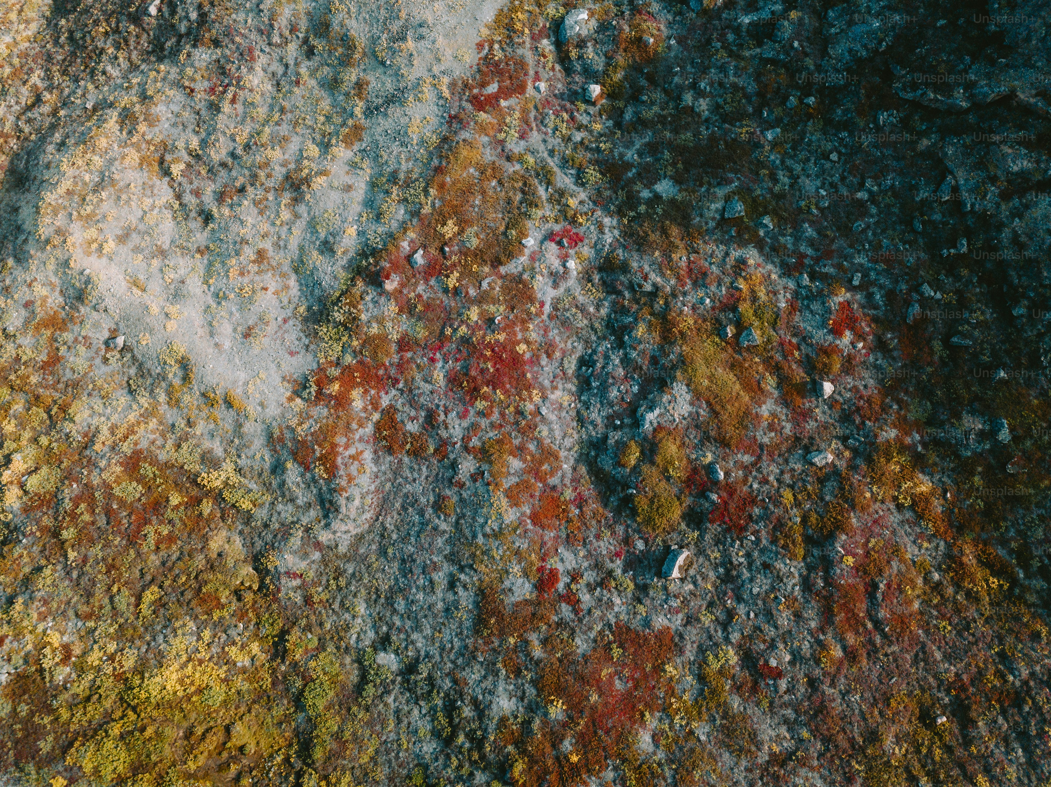 Colorful rock formation with red and yellow hues.