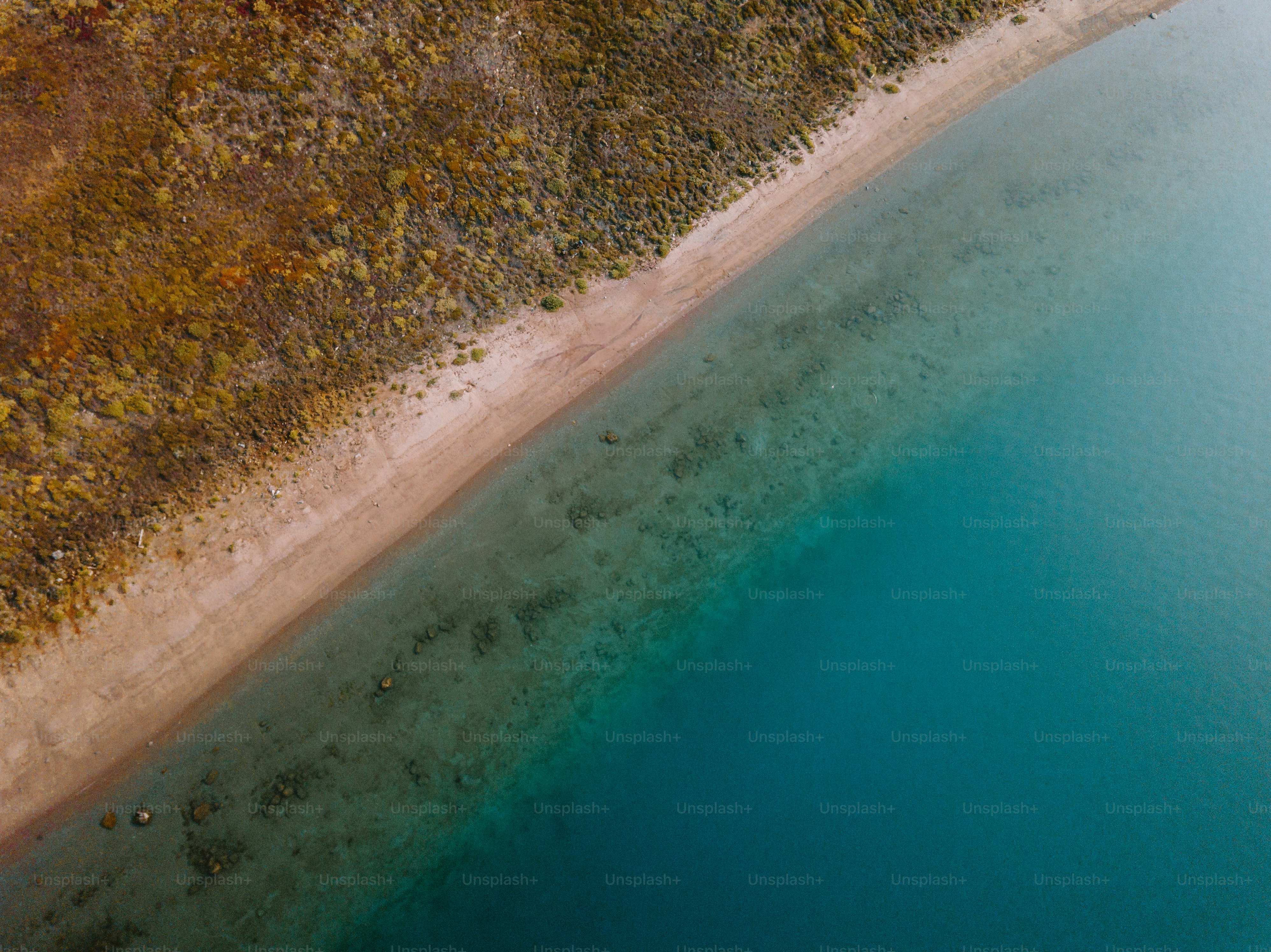 Sandy shore meets clear, blue water.