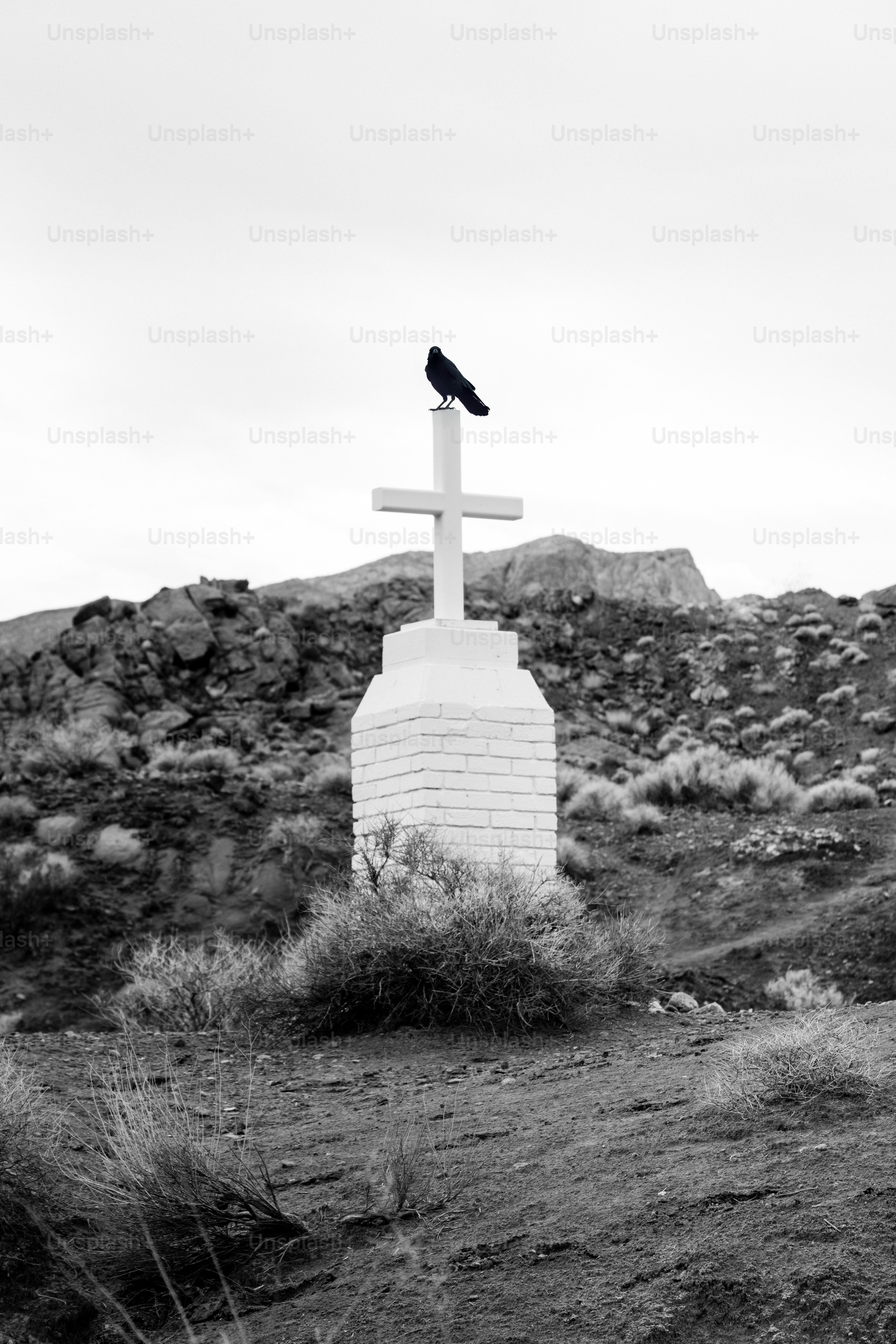 A crow sits atop a white cross.