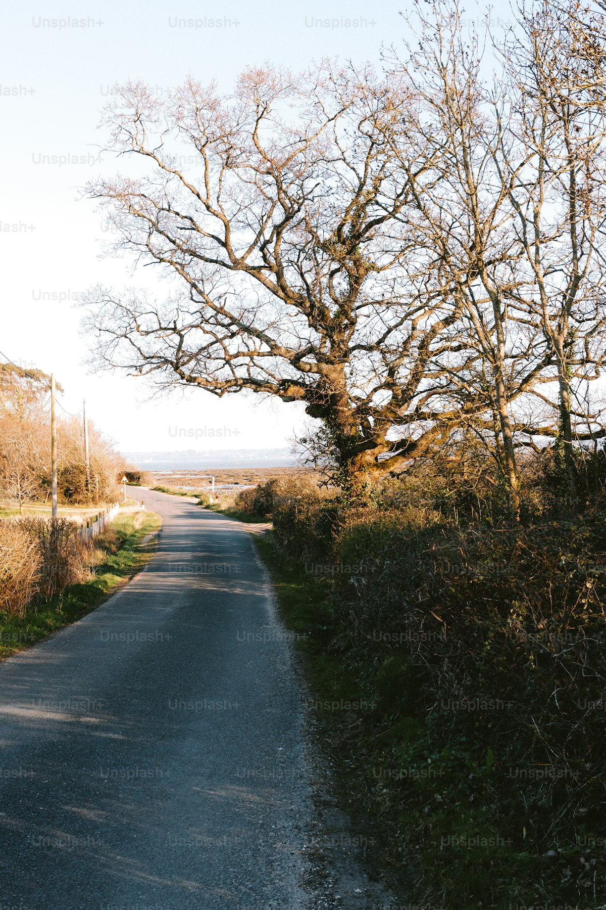 Rural road and countryside in County Armagh, within the Armagh City, Banbridge and Craigavon Borough Council area