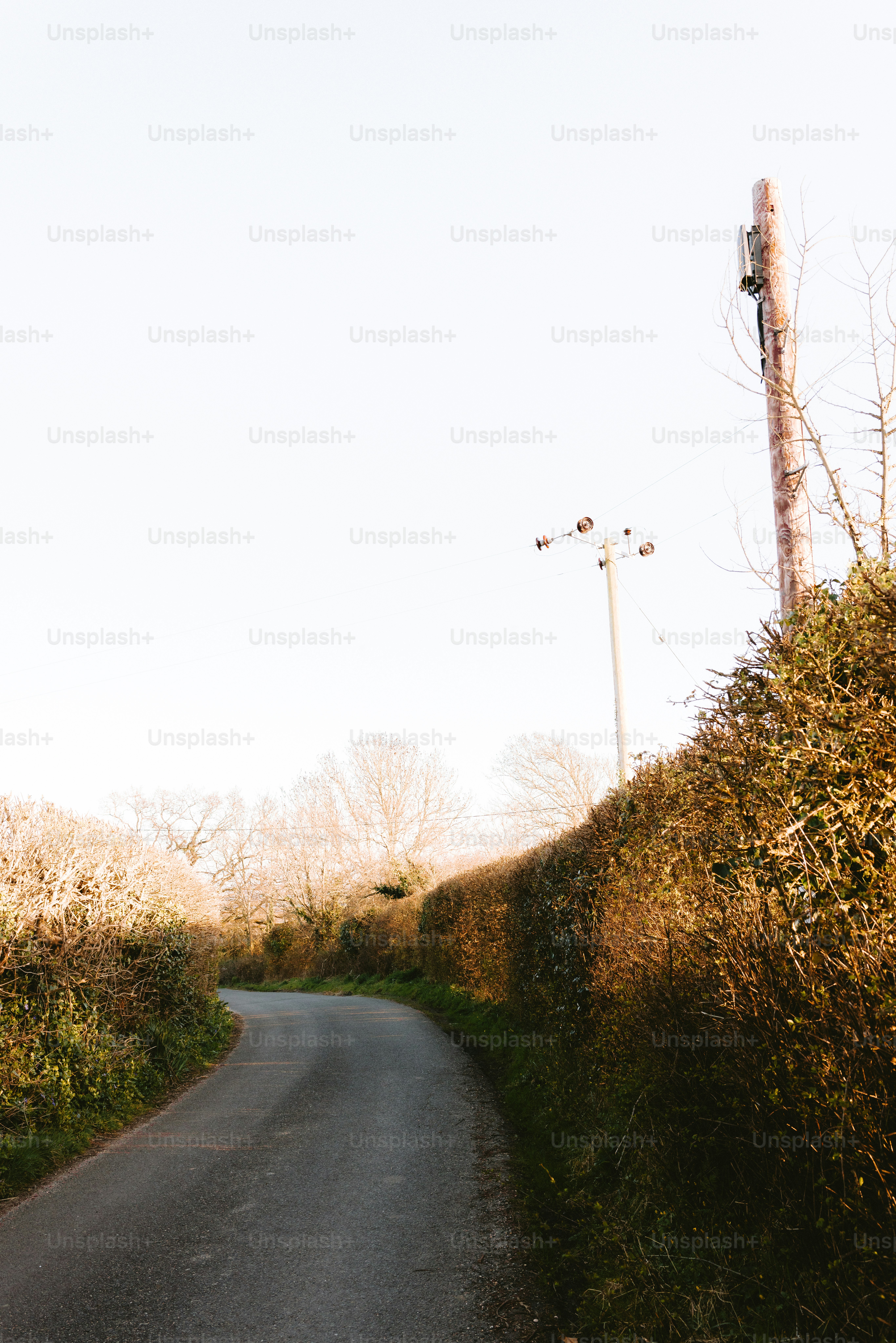 A winding road is lined with green hedges.