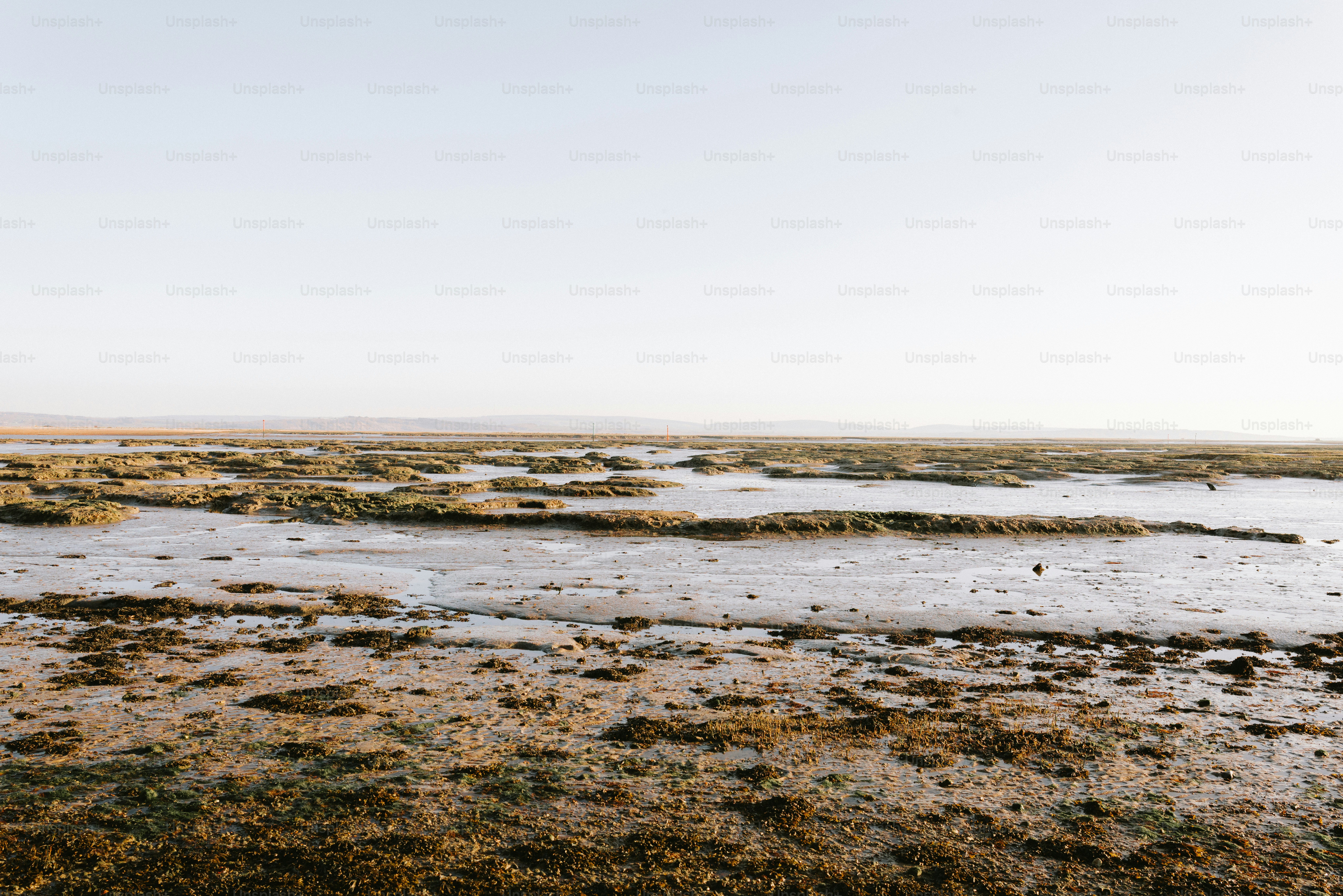 Ein Wattenmeer erstreckt sich bis zum Horizont.