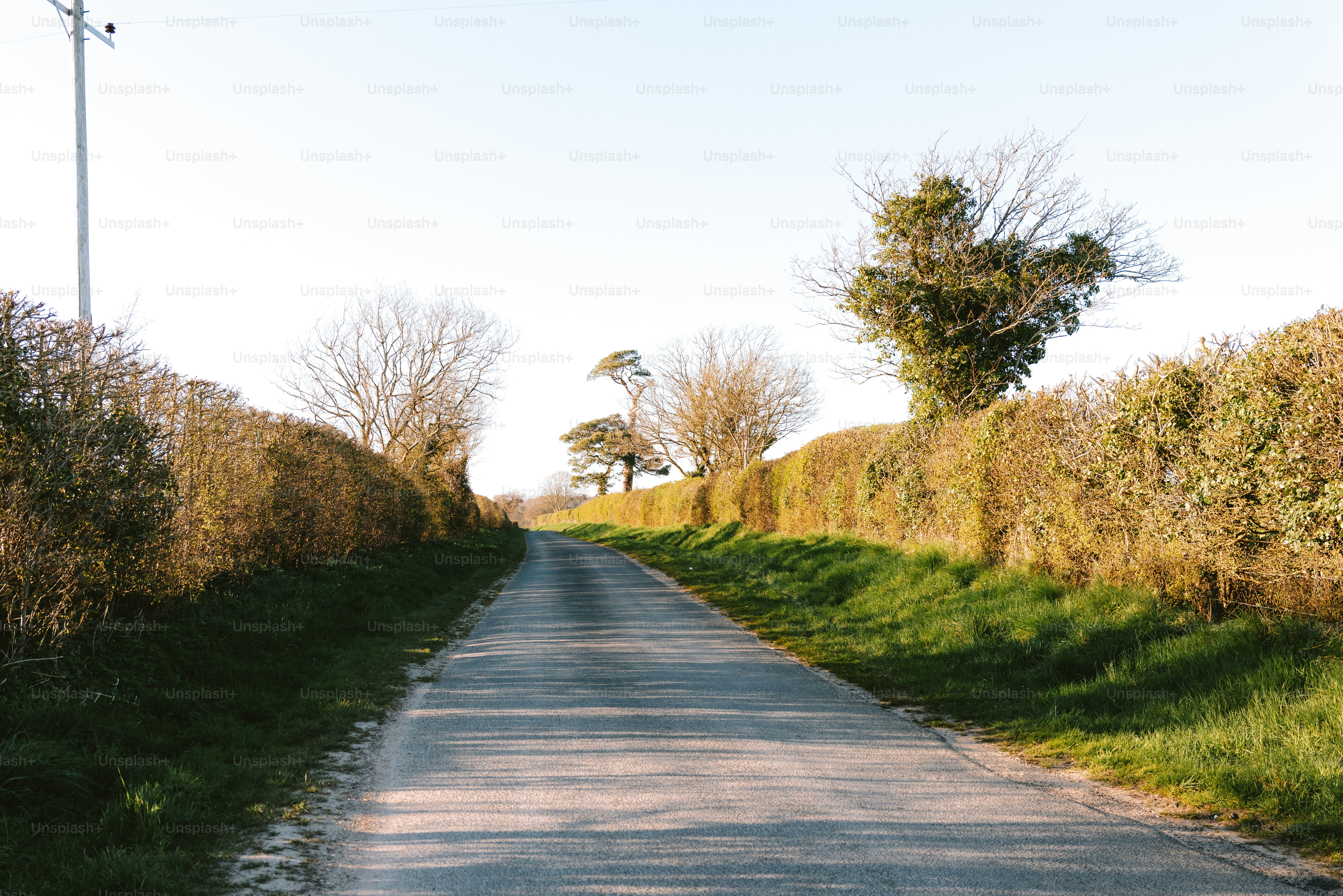 A narrow road leads between hedges.