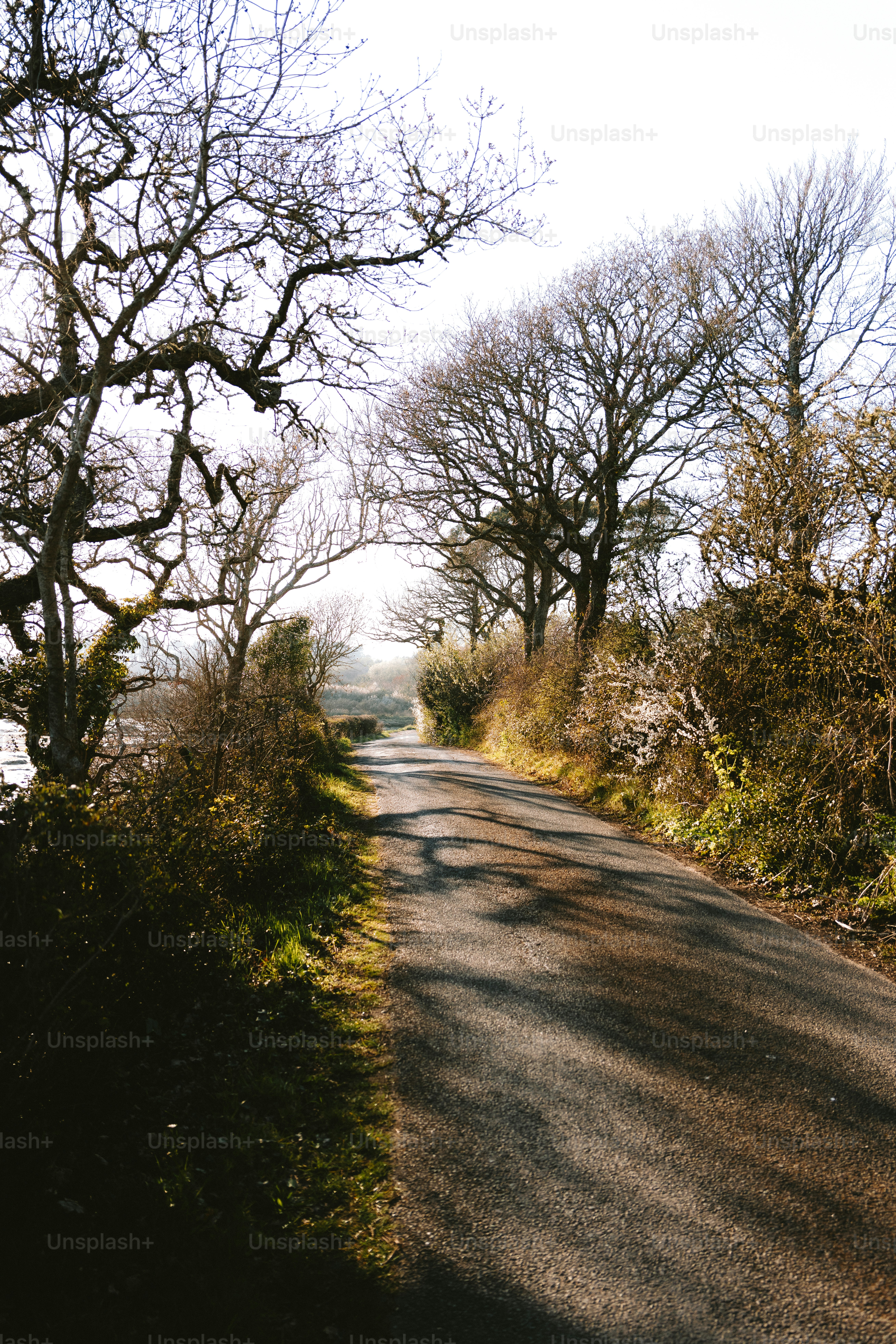 Town of Kildare, Wisconsin