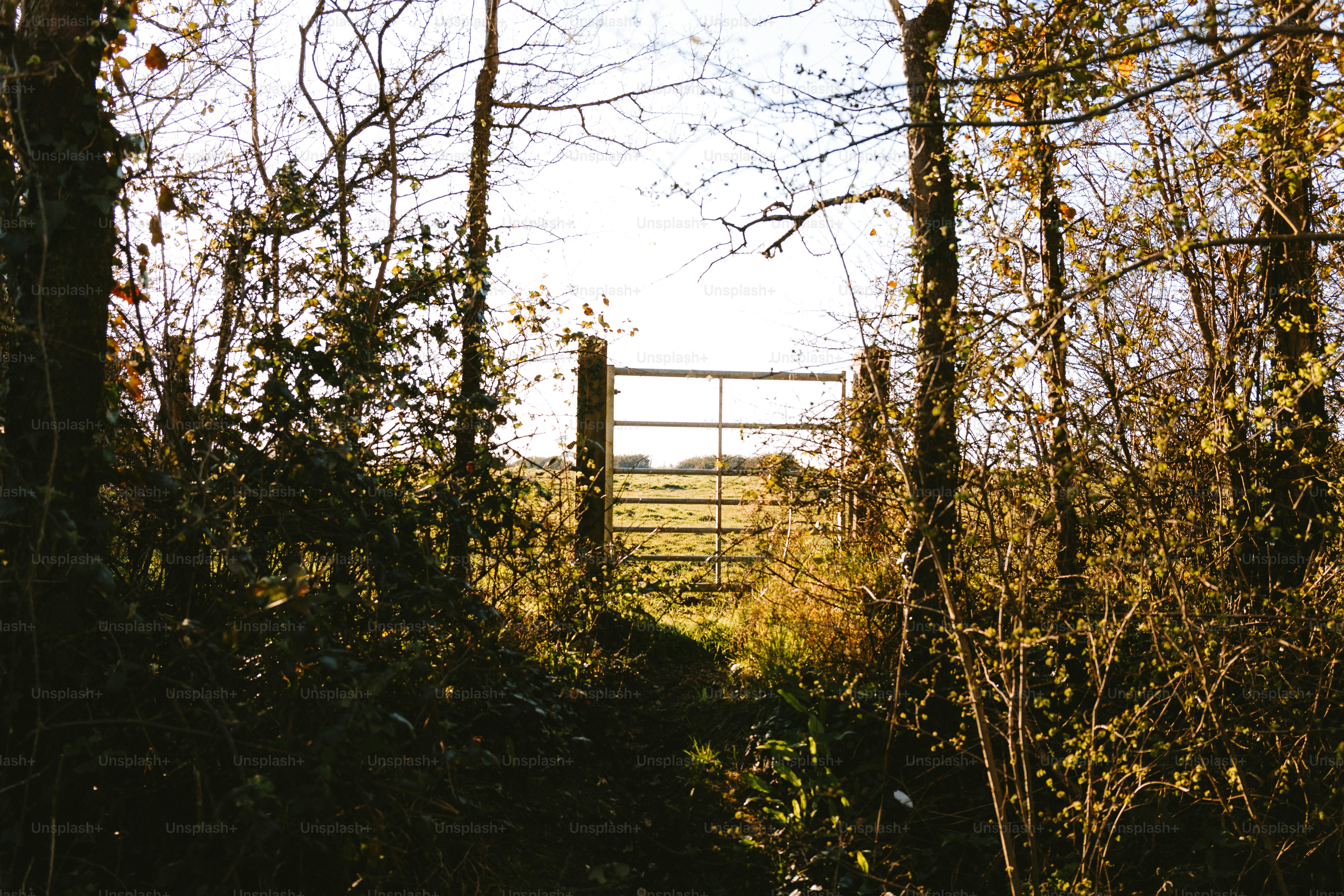 Gate Launches xStocks Trading Section, Bridging Crypto Finance and Global Capital Markets