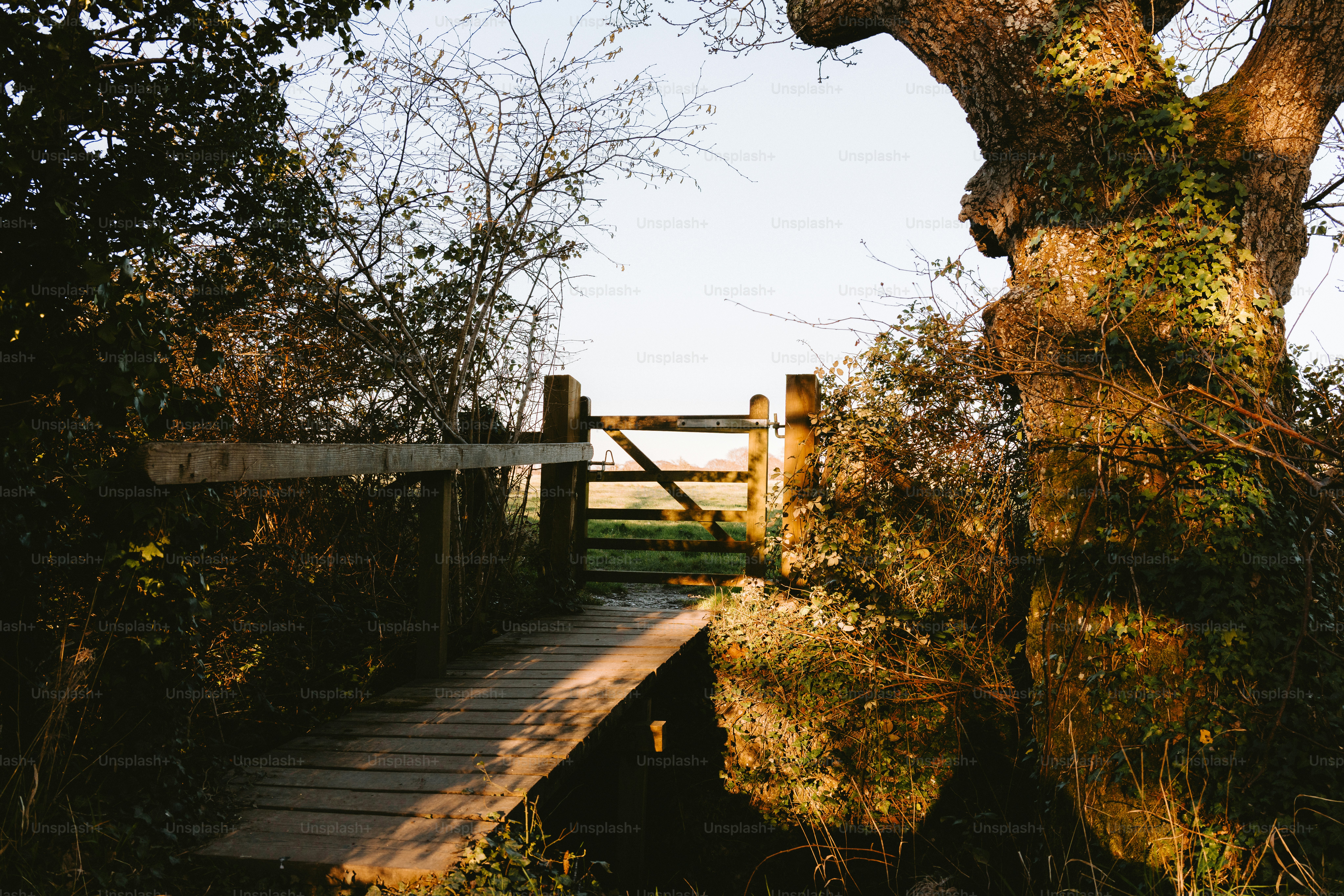 Un pont en bois mène à une porte et à un champ.