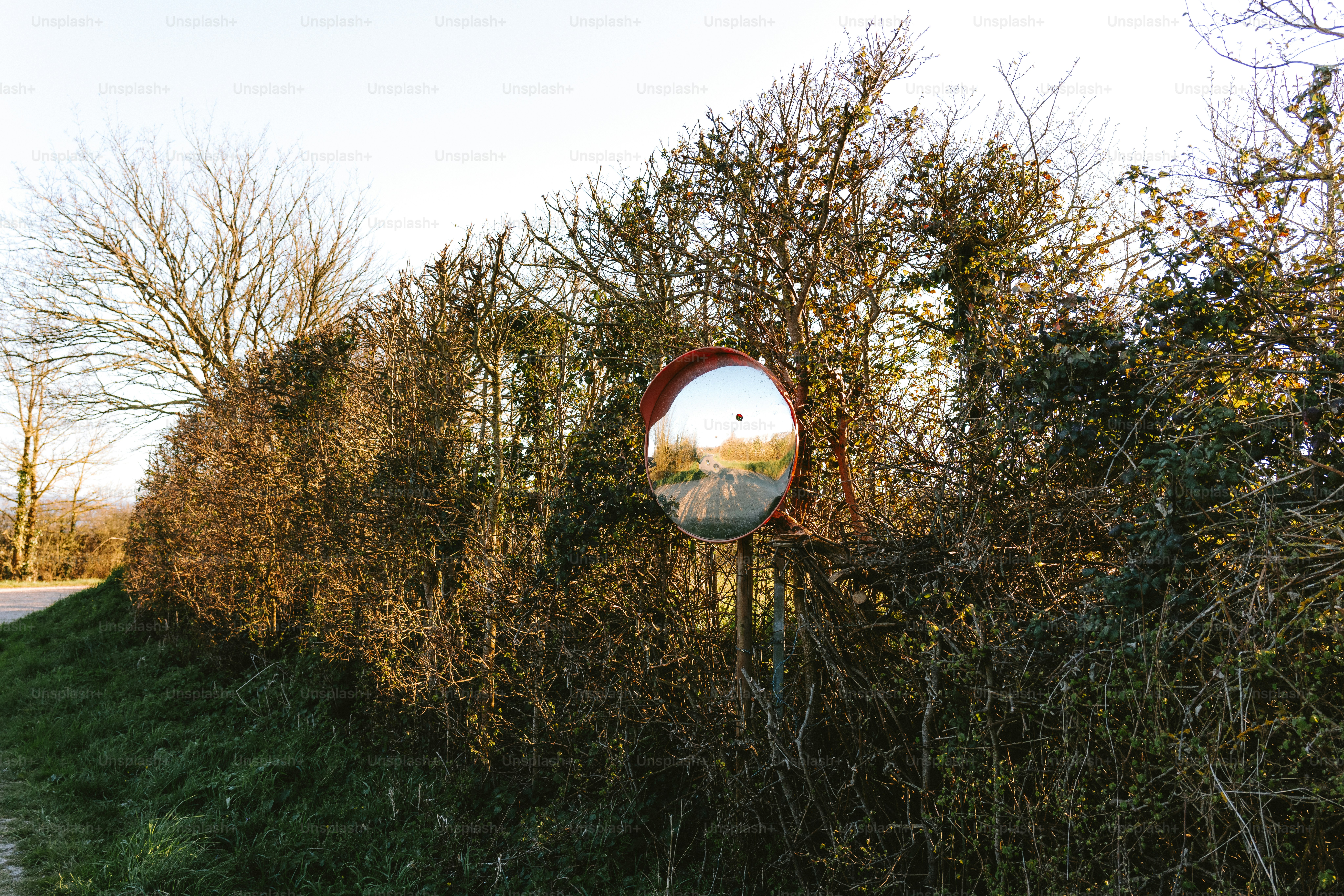 A convex mirror reflects the road.