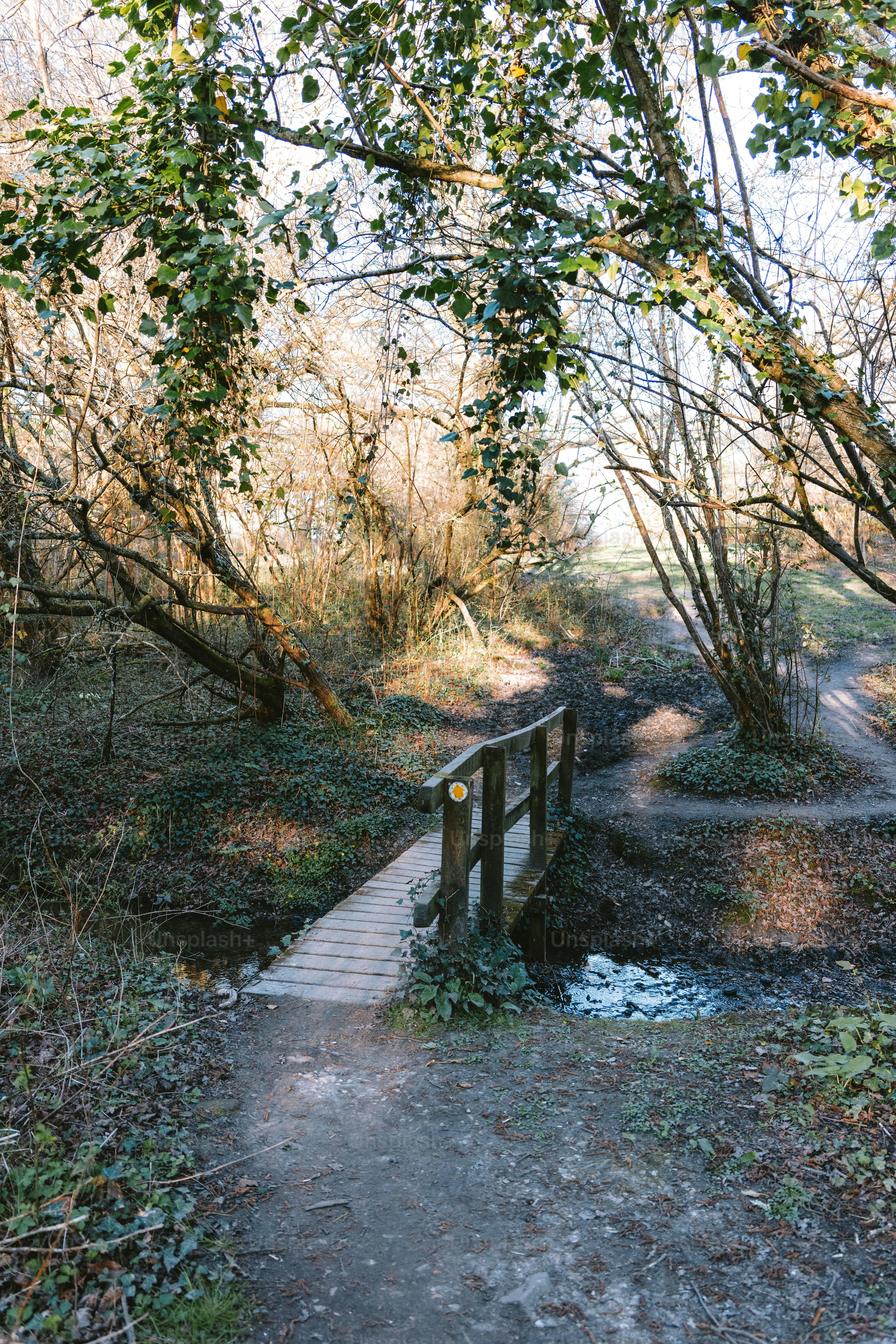 Un pont en bois traverse un petit ruisseau.