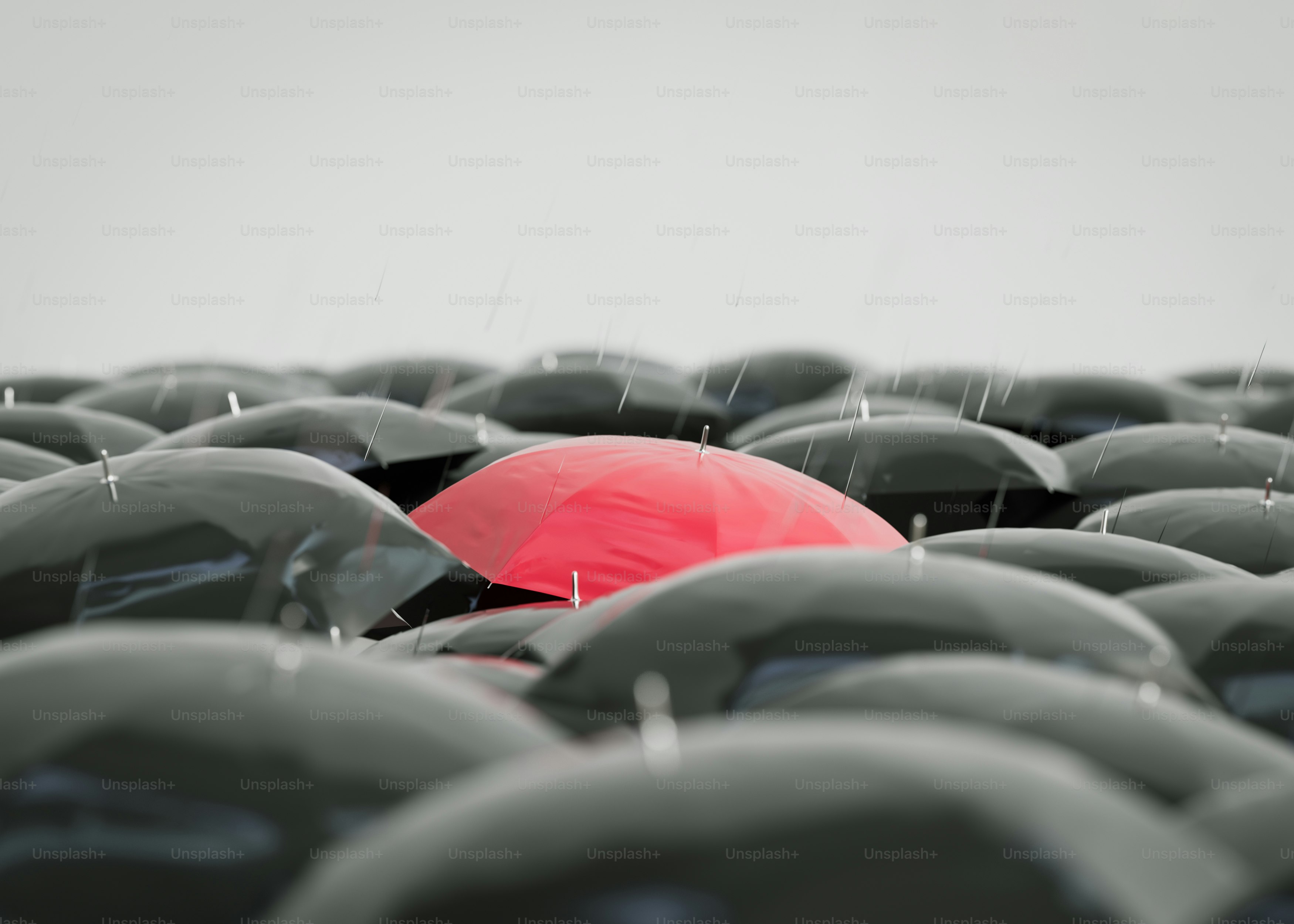 Un paraguas rojo destaca entre los negros.