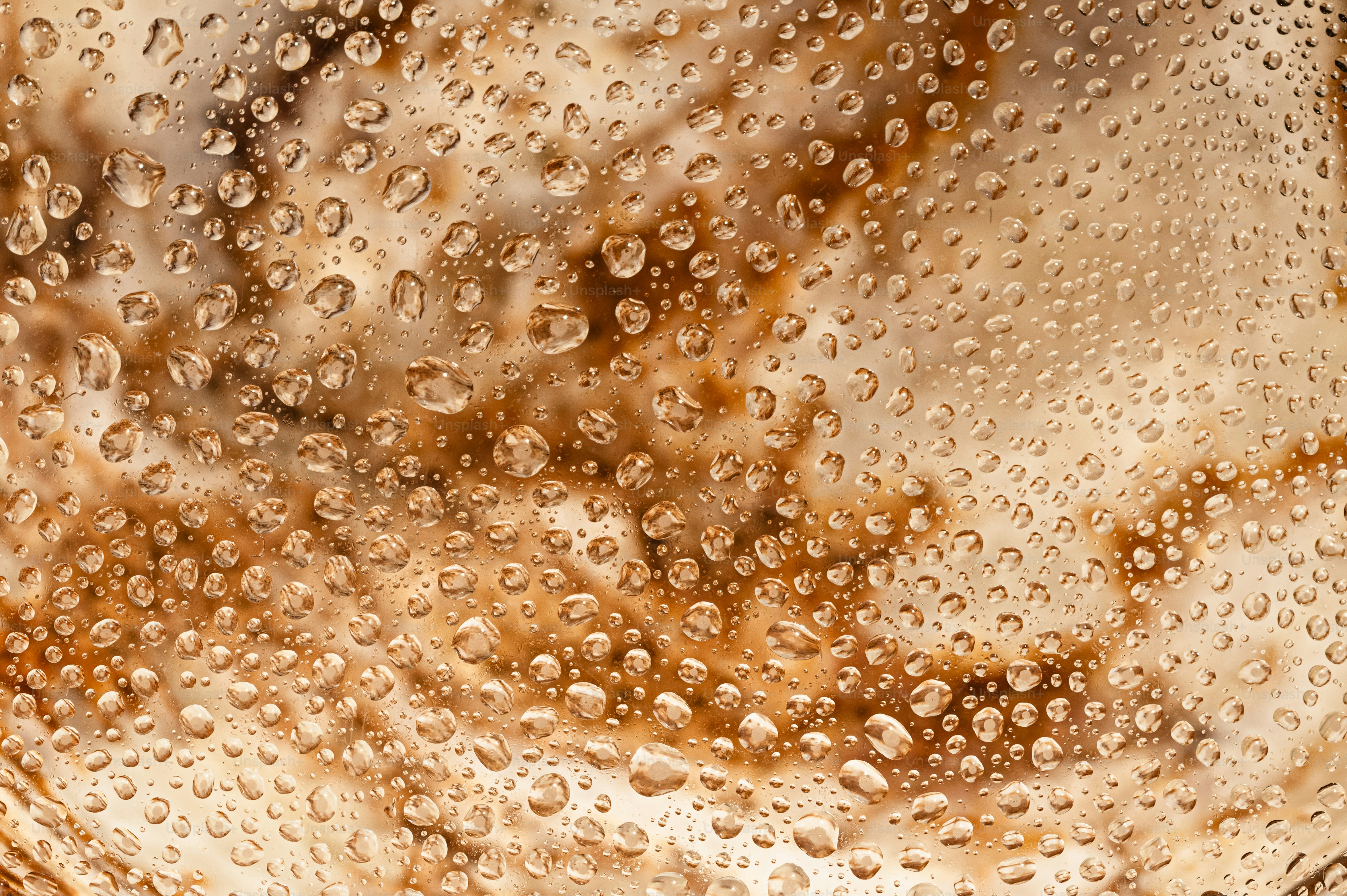 Water droplets condense on a textured surface.