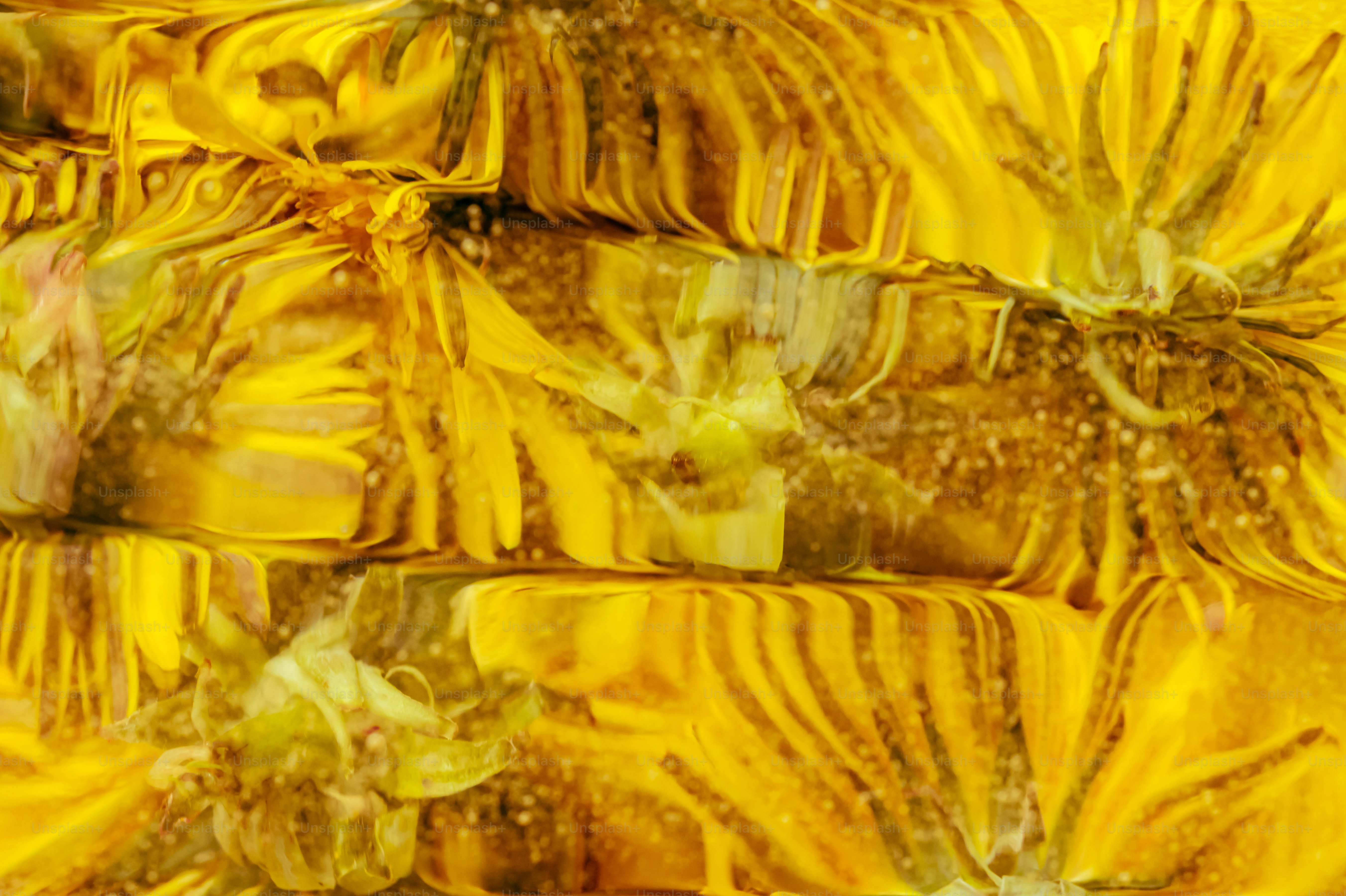 Gambar abstrak bunga kuning dengan pantulan.