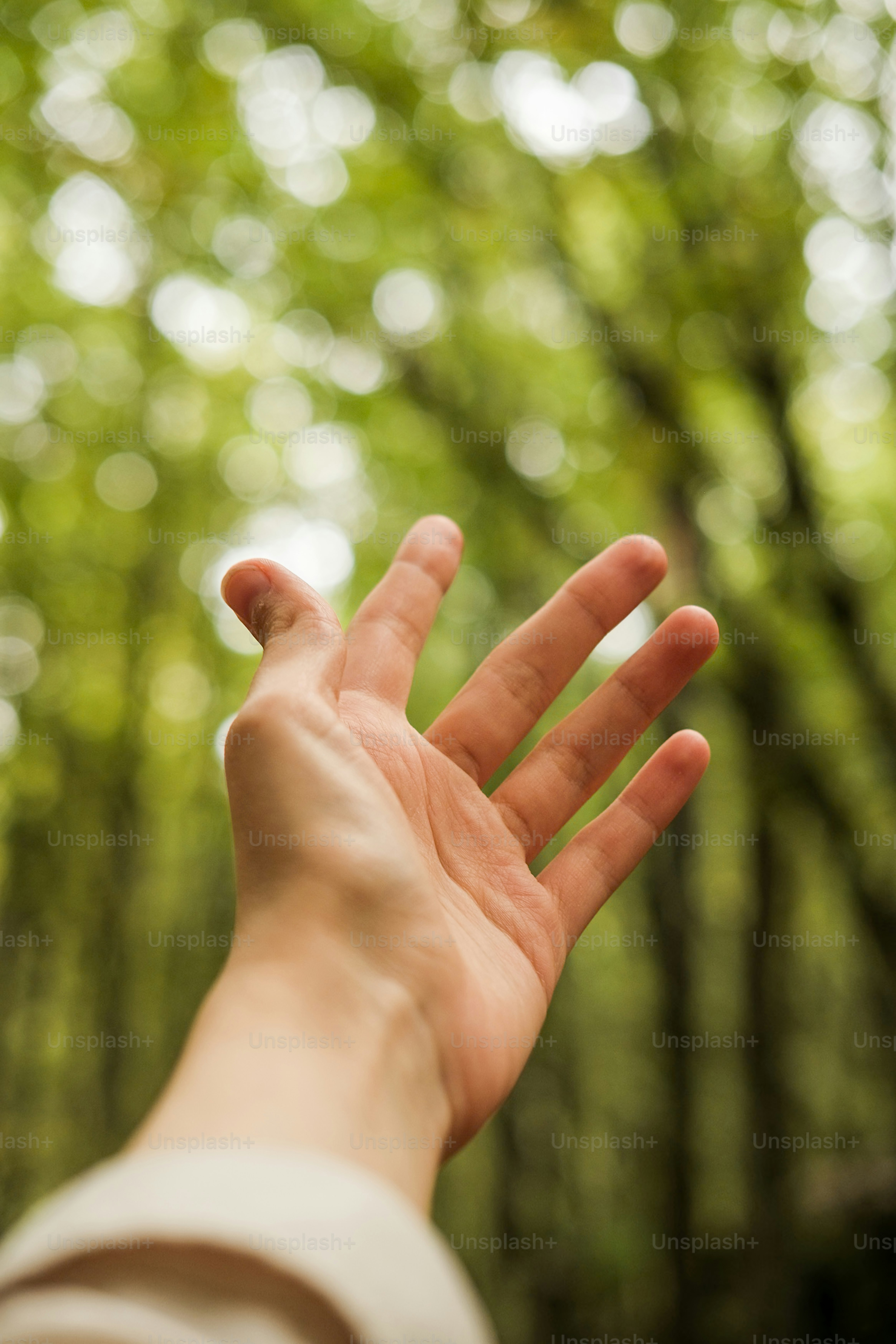 Reaching hand with a blurred forest background.