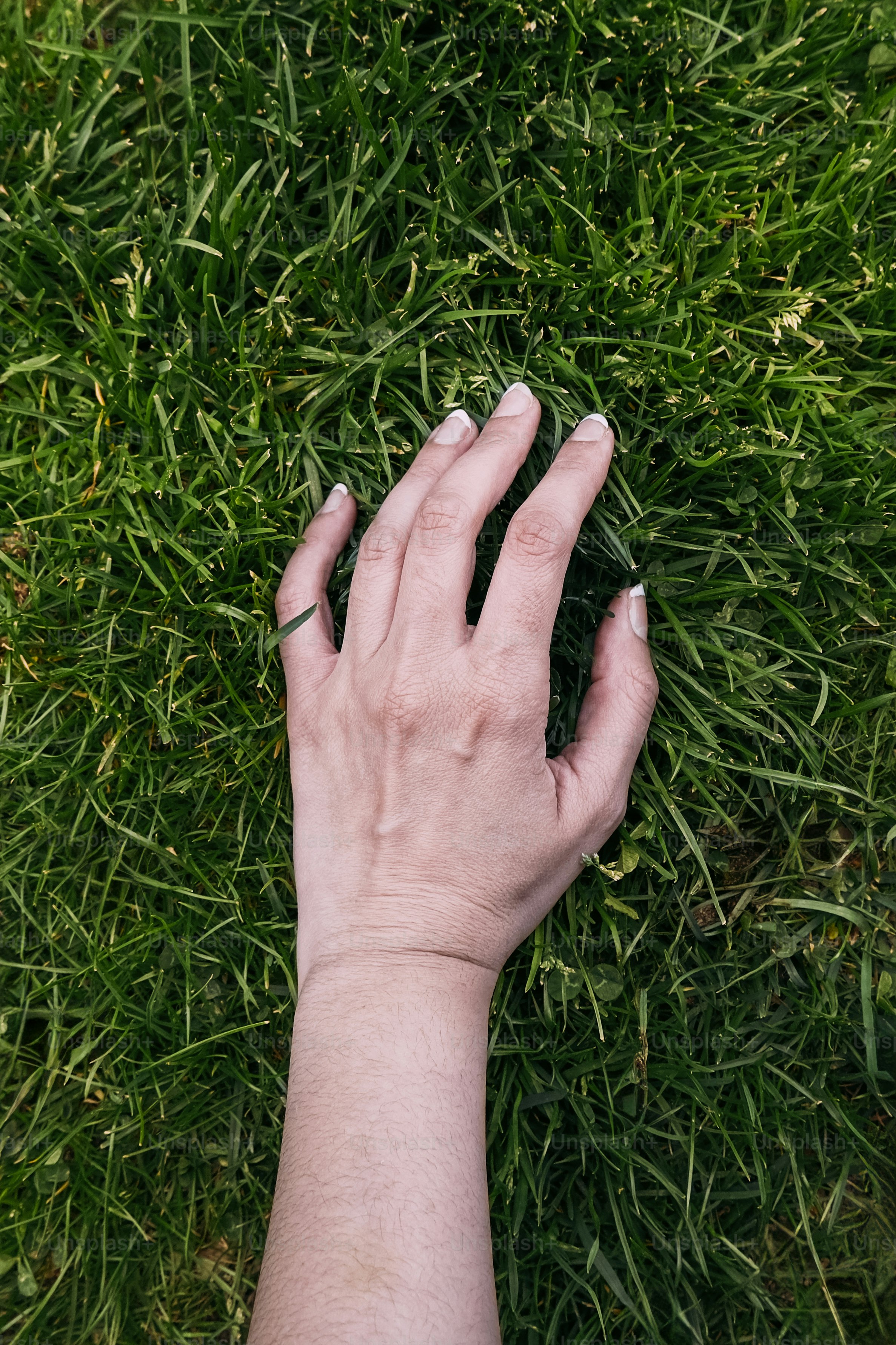 A hand rests on lush green grass.