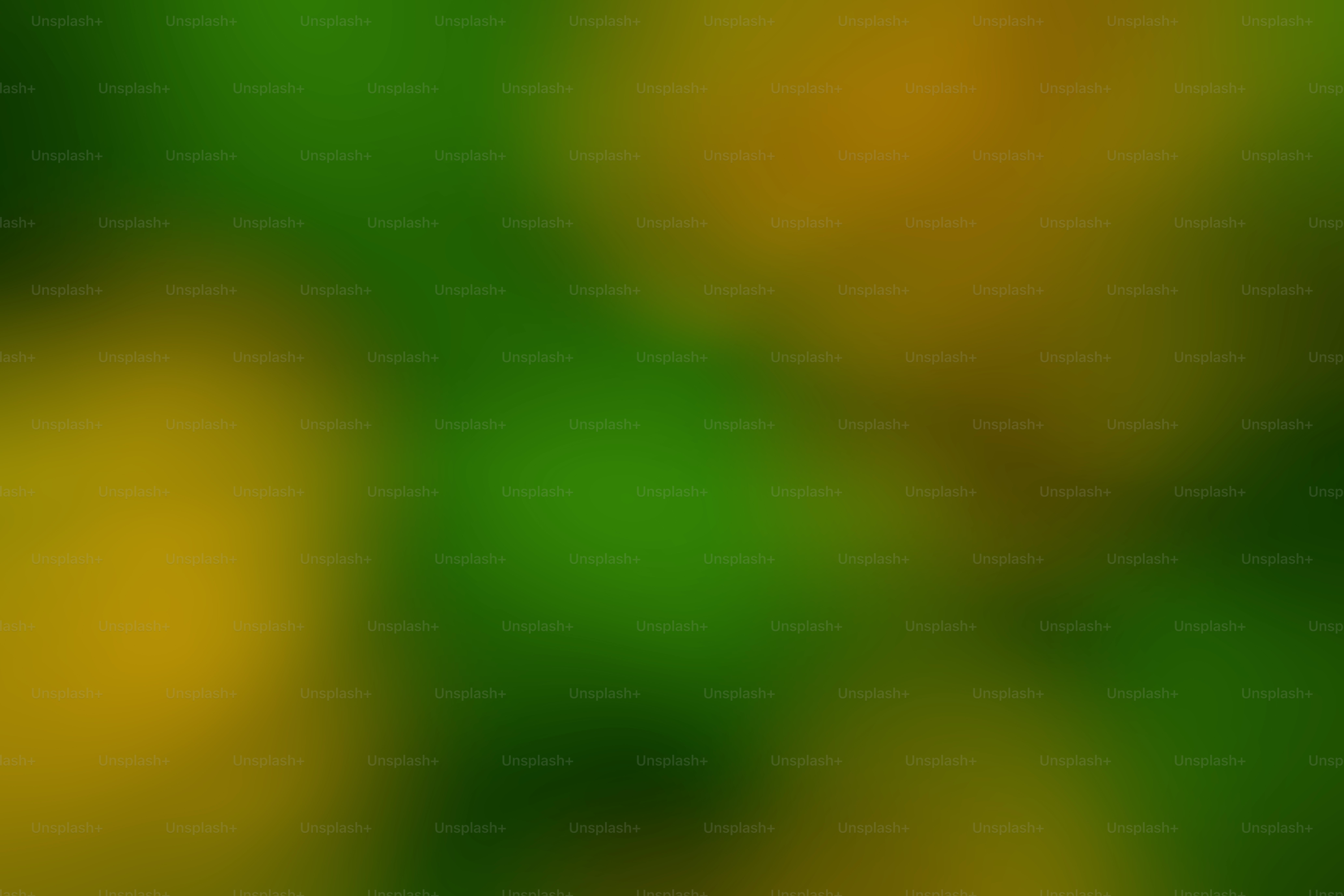premium_photo-1743729565330-6329c356a8d9?ixid=M3wxMjA3fDB8MXxzZWFyY2h8MTN8fGZld28lMjB2ZXJtaWV0dW5nc3NlcnZpY2V8ZW58MHx8fHwxNzUwNjIzMzUyfDA\u0026ixlib=rb-4.1.0
