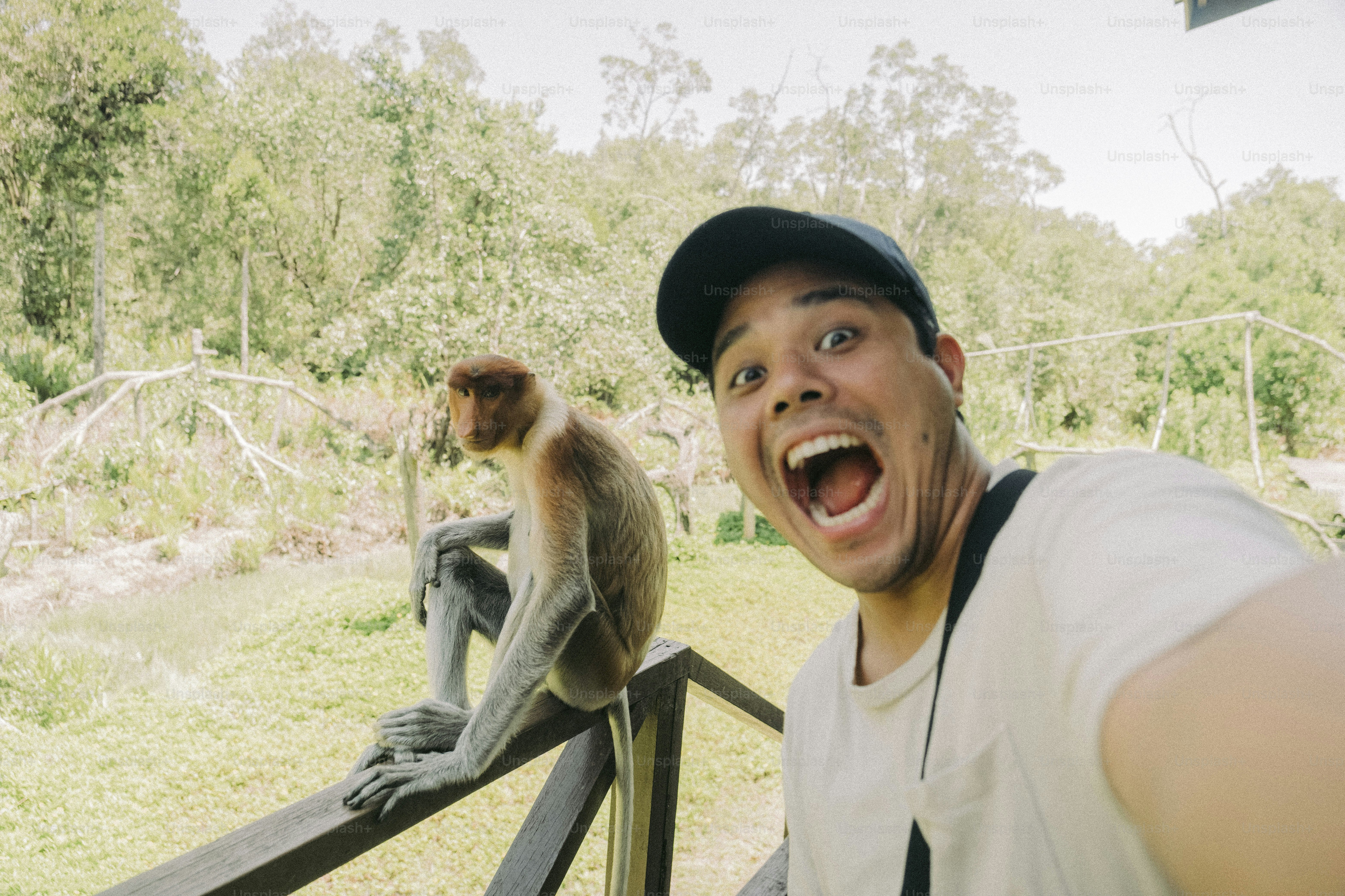 Homem tira uma selfie com um macaco.