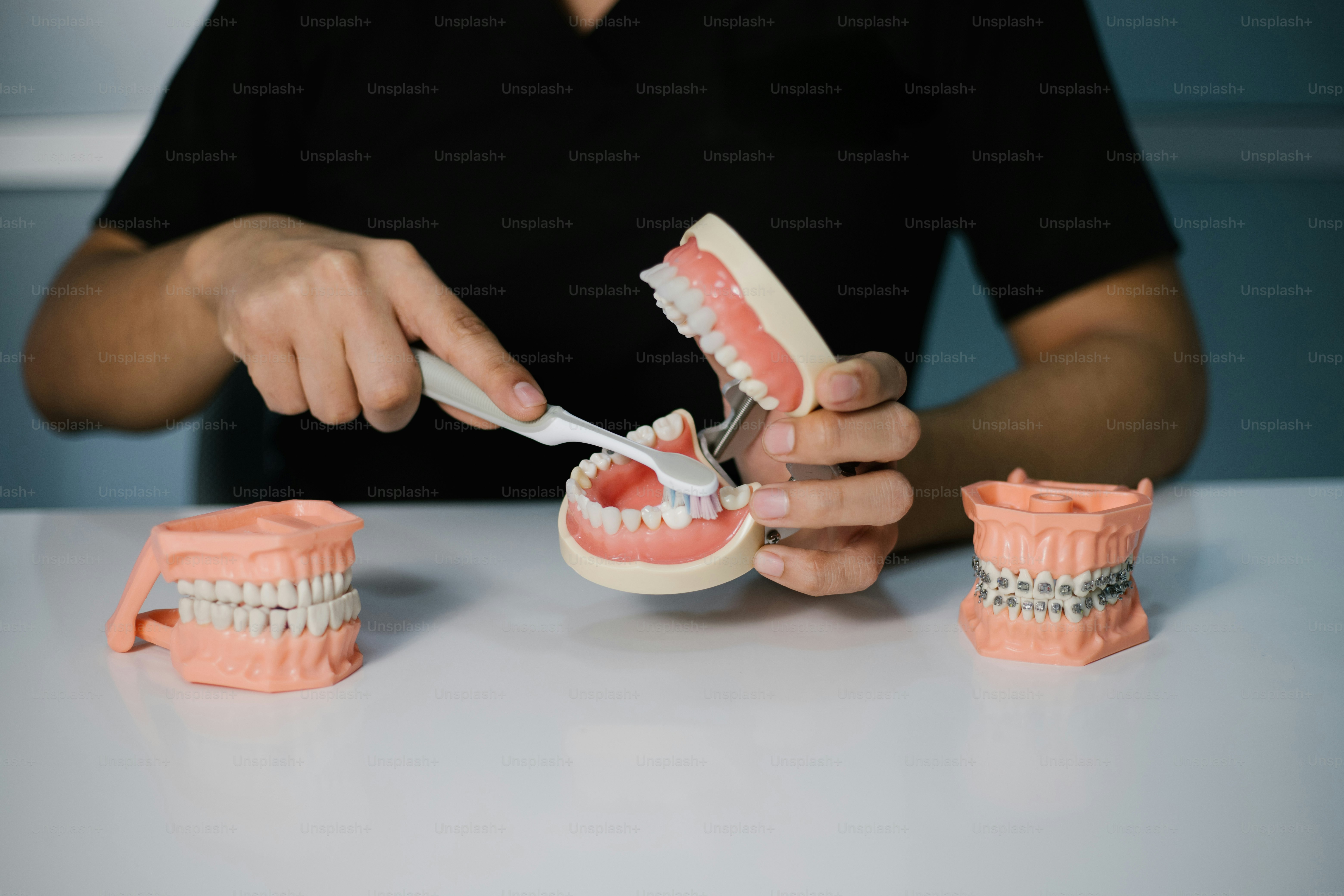 Person is demonstrating proper toothbrushing technique on teeth model ...