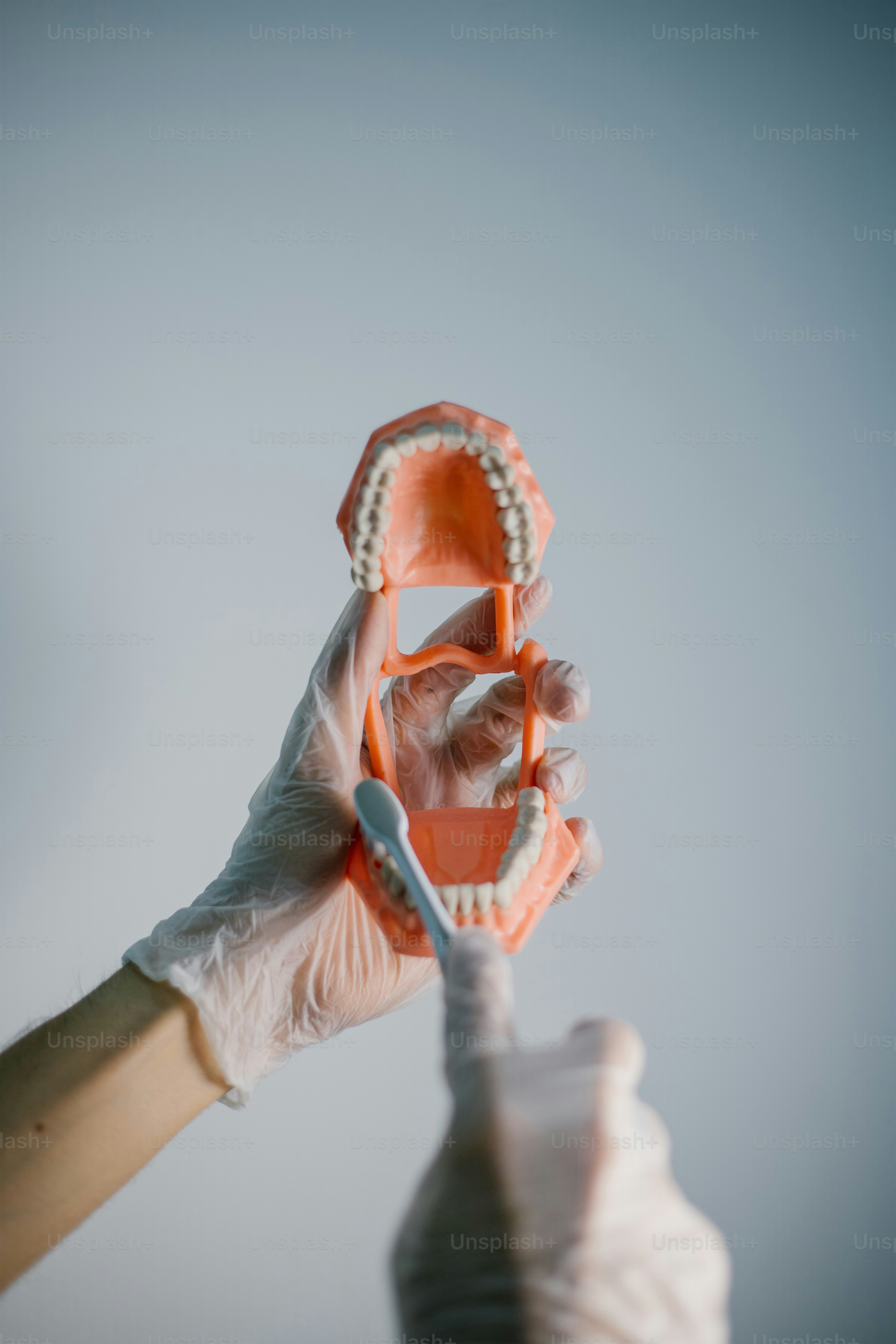 A dentist demonstrates brushing a teeth model.
