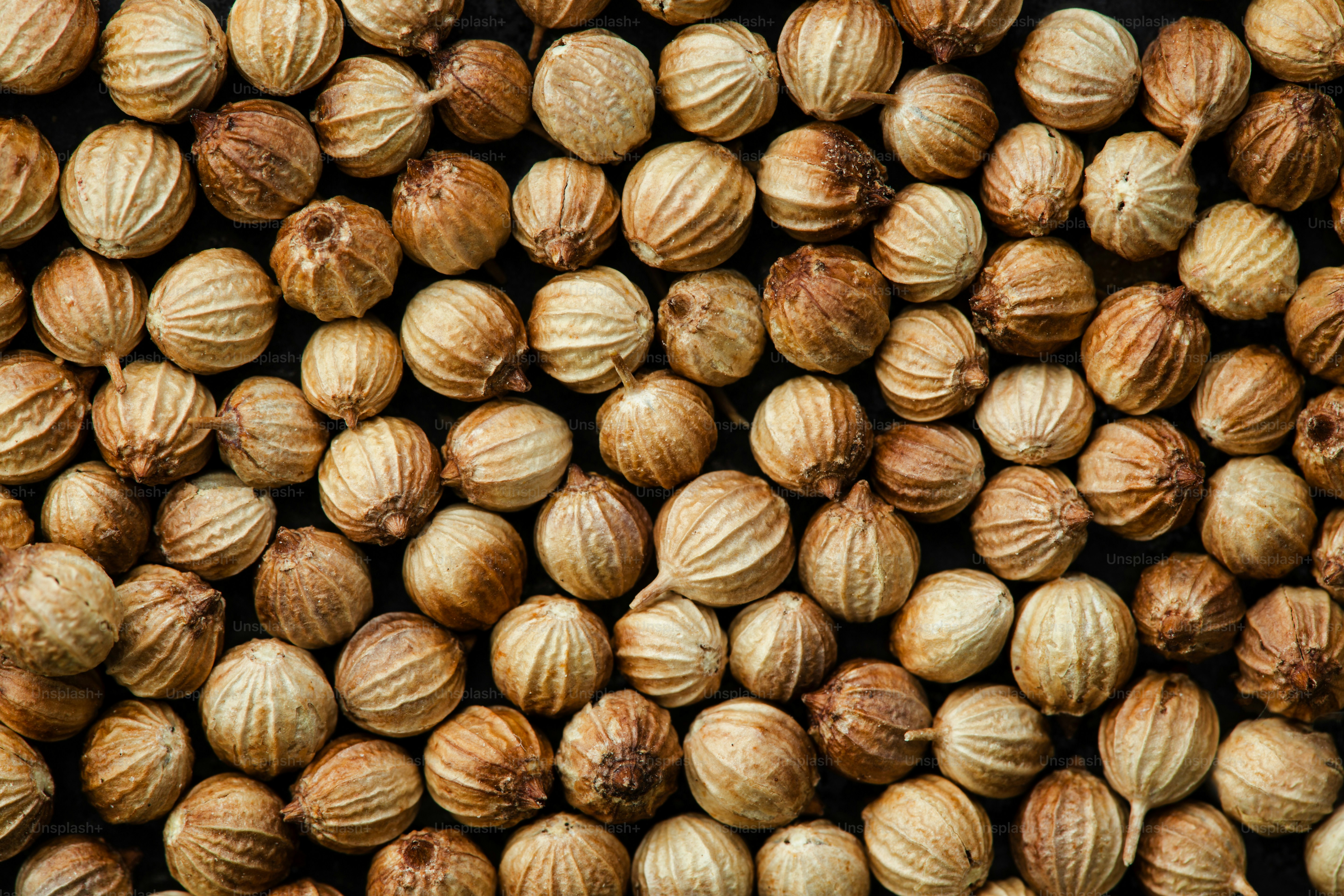 Coriander Powder