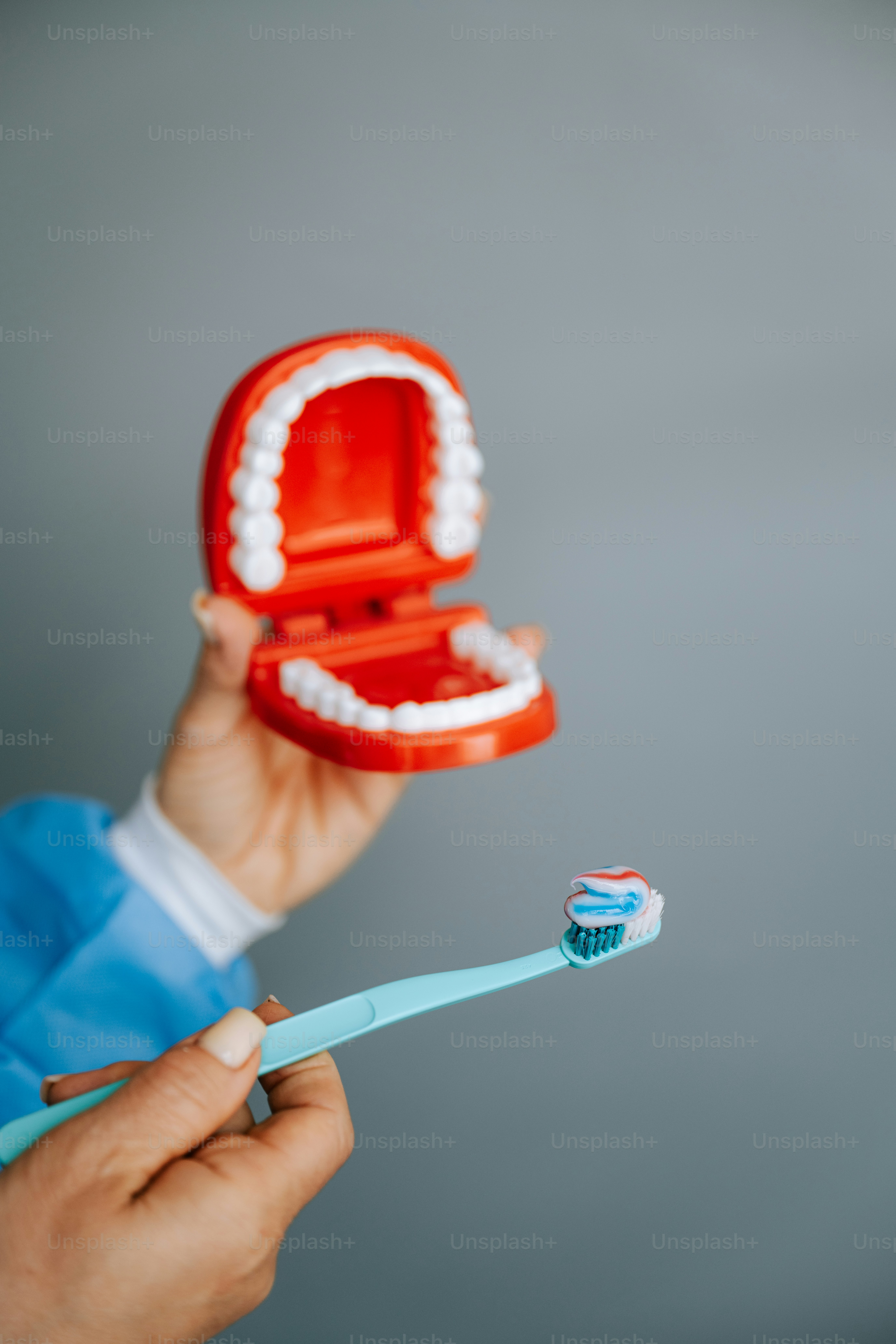 A hand holds a toothbrush and a jaw model.