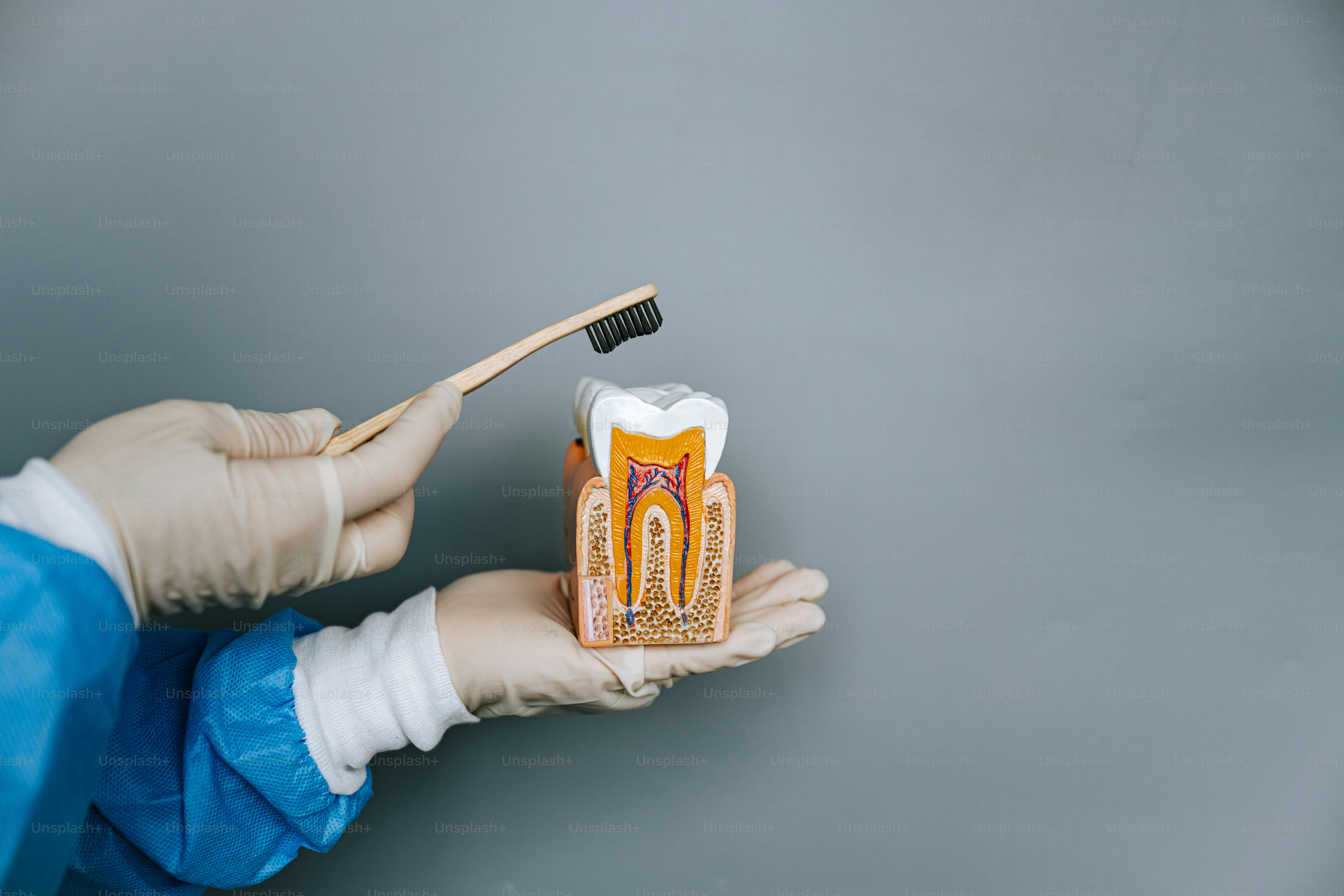 A dentist demonstrates cleaning a tooth model.