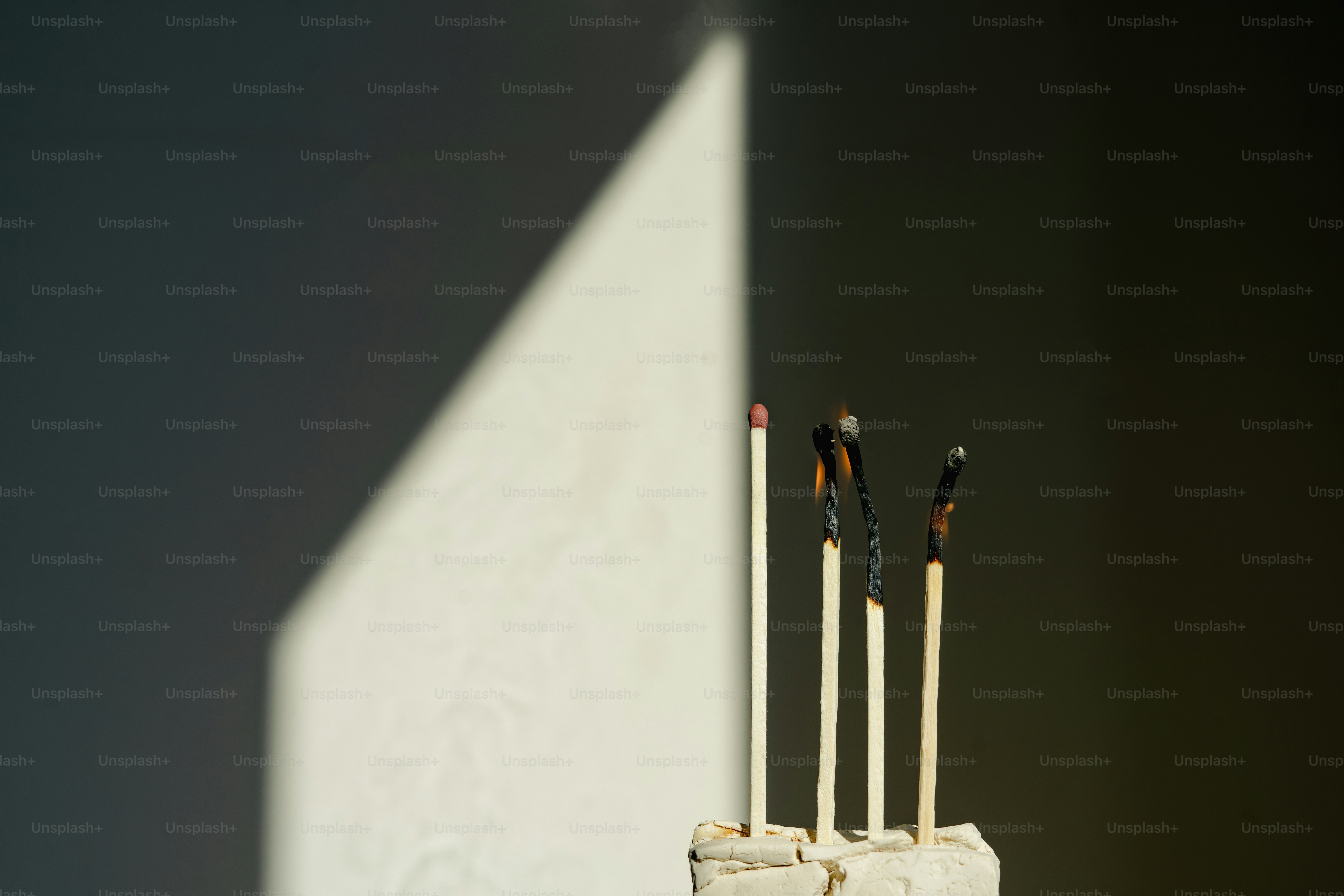 Sticks in sunlight cast intriguing shadows.