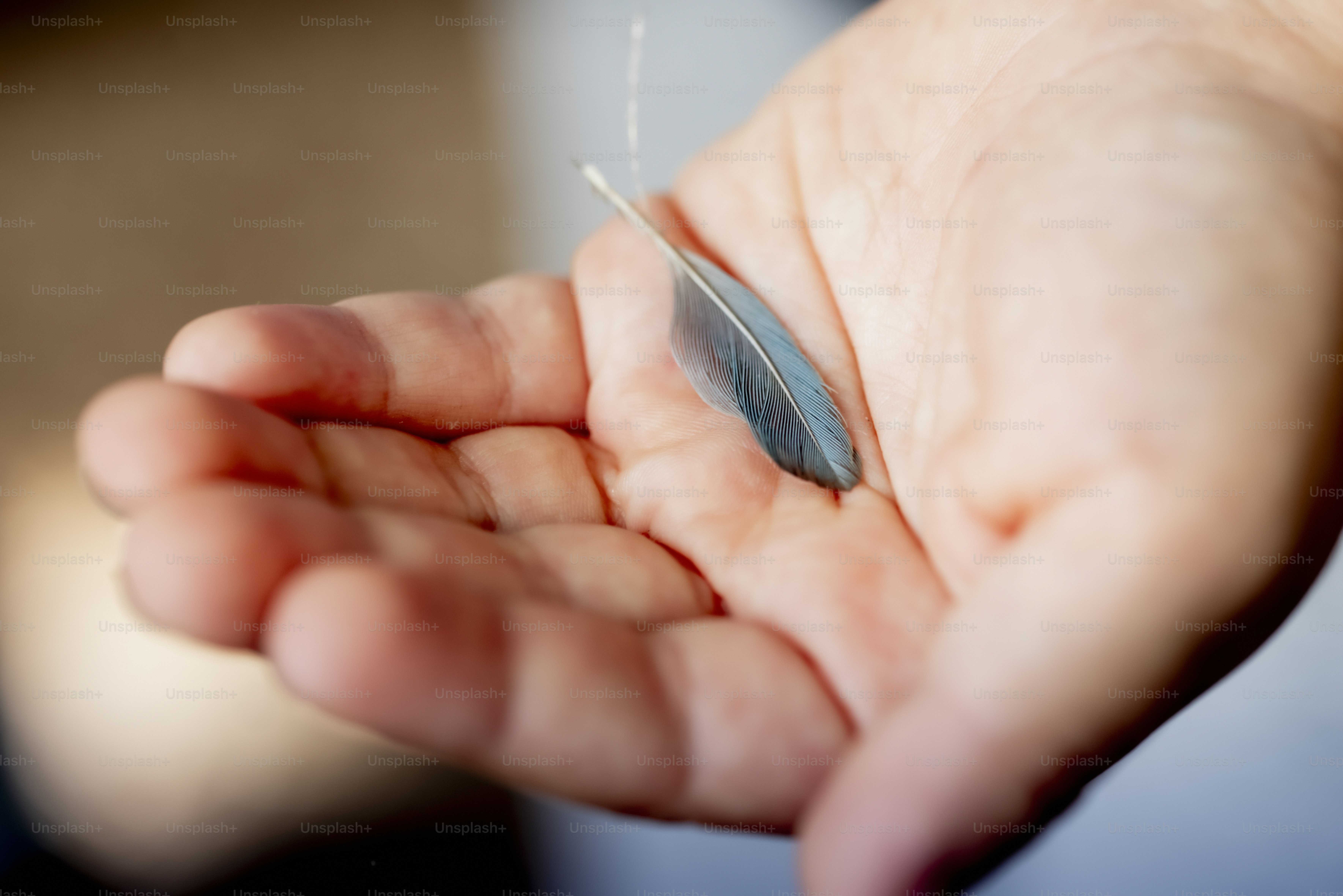 A small blue feather rests gently in a hand.