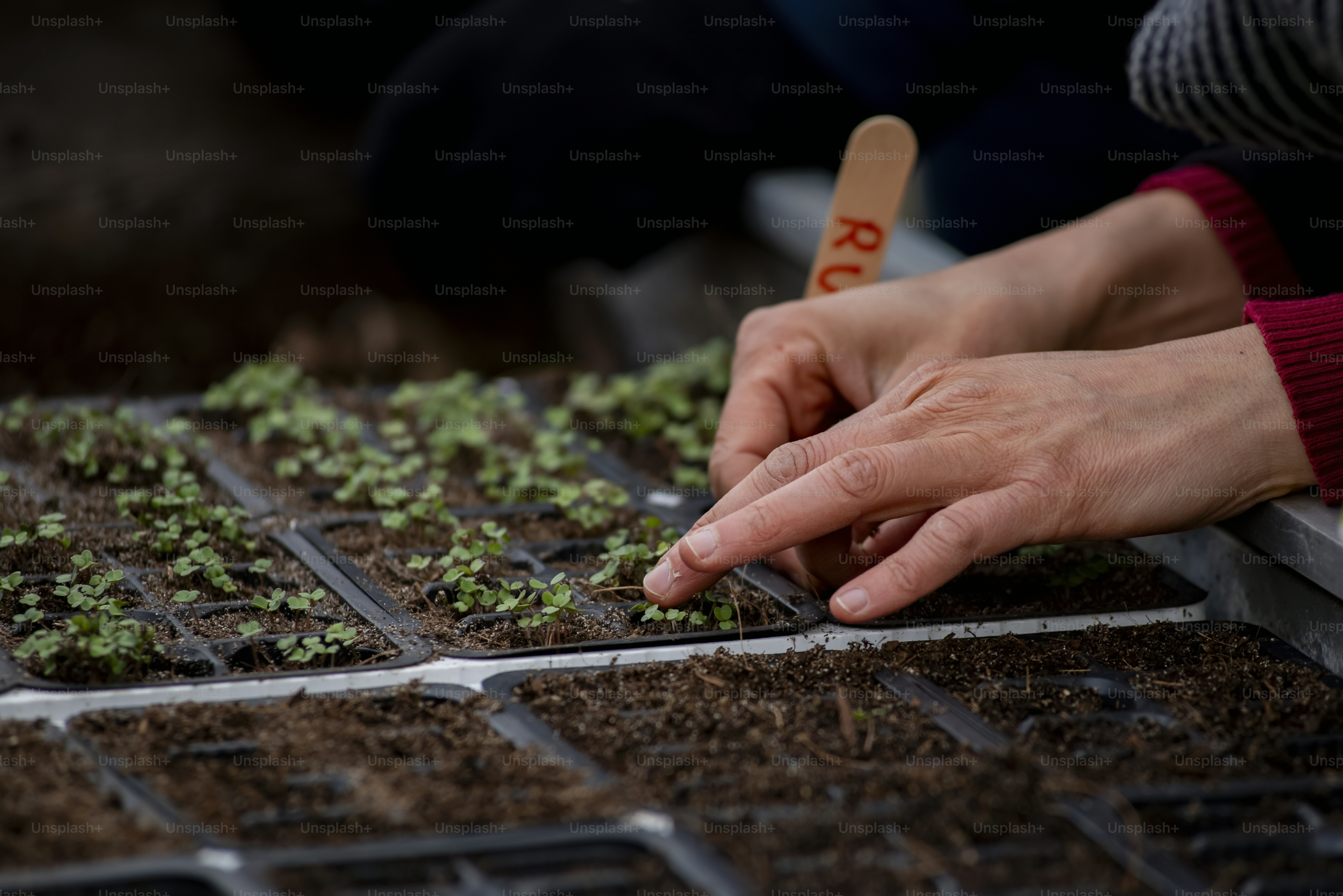 Just Starting Puberty