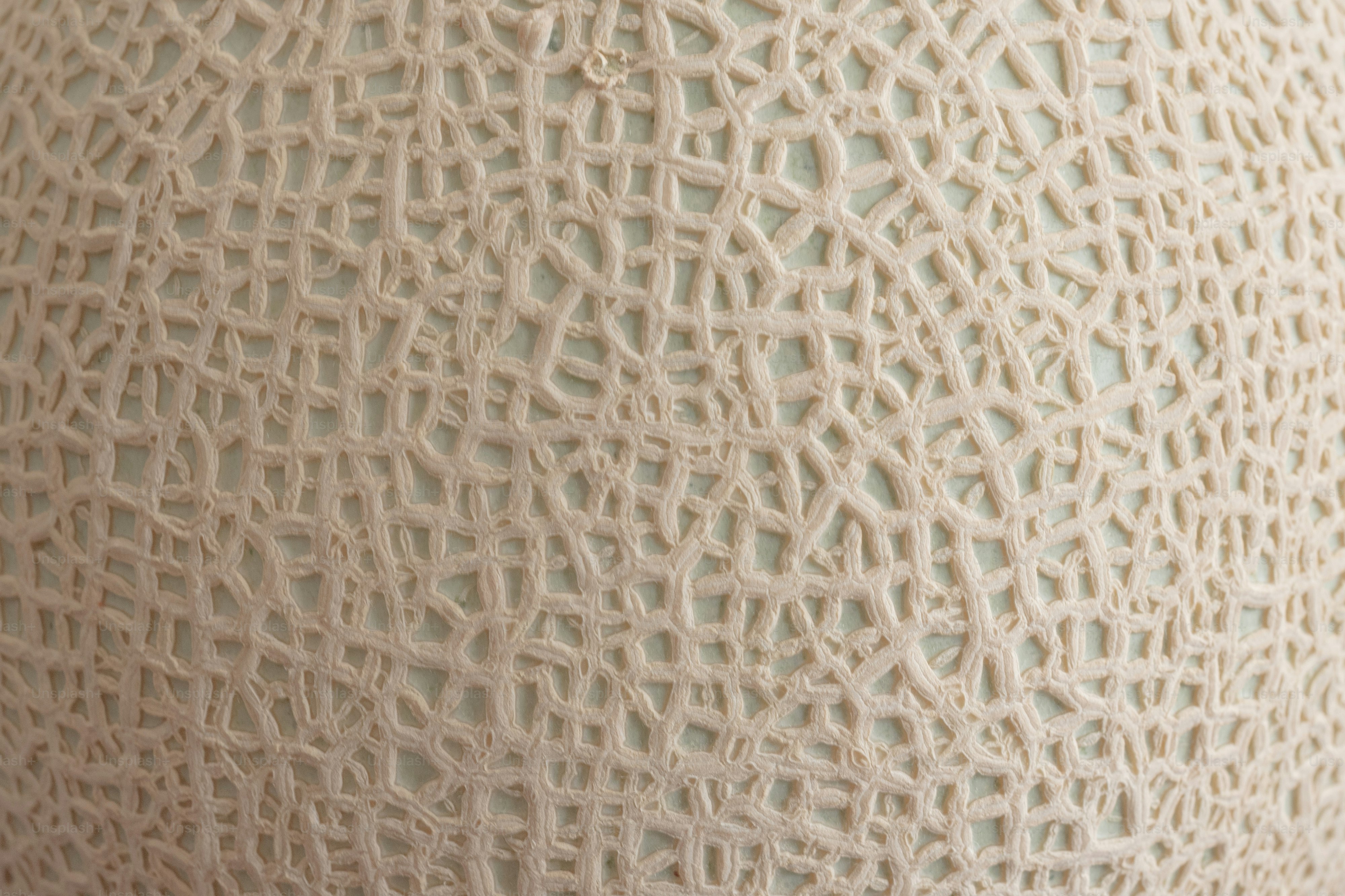The image shows the textured skin of a melon.