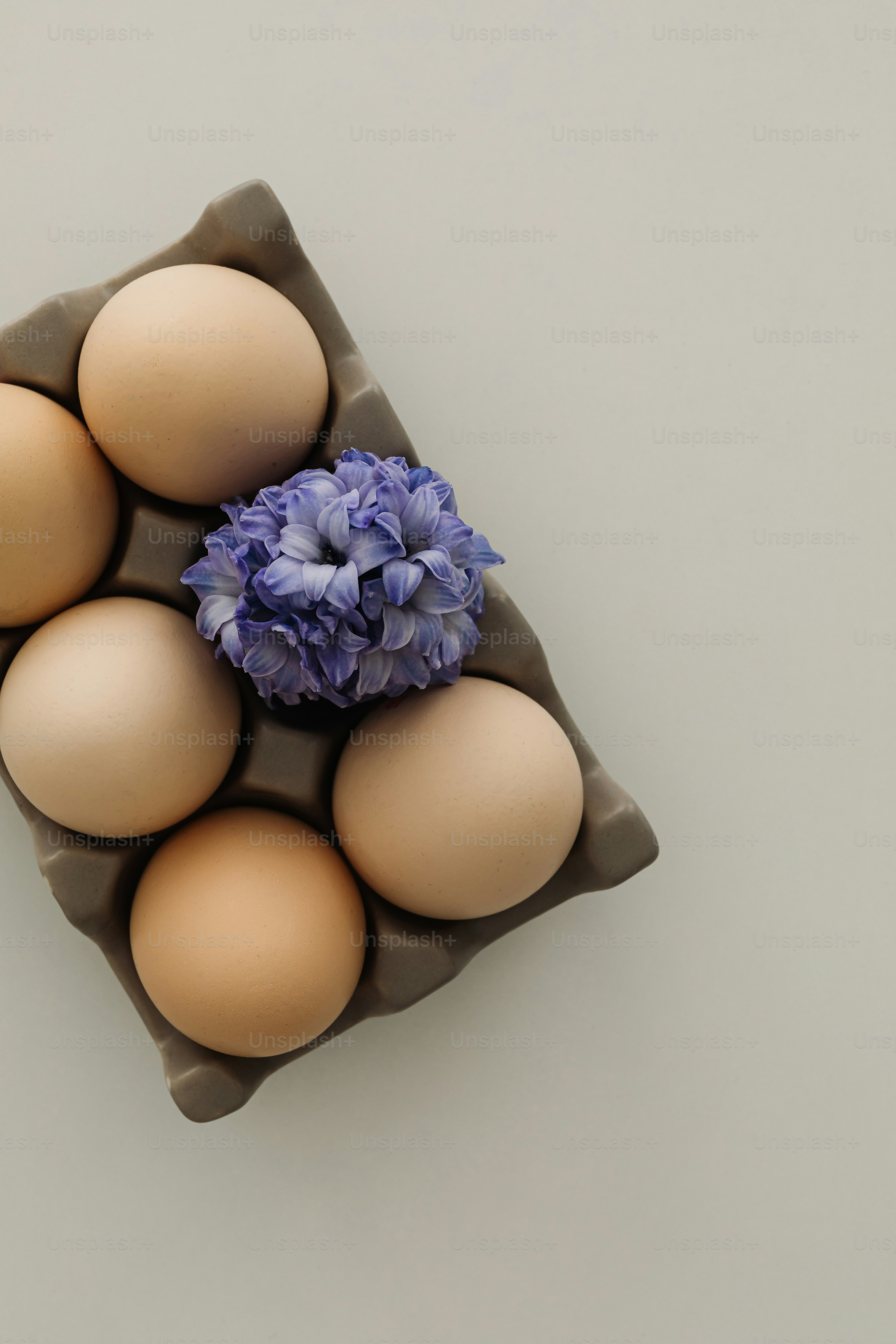 Eggs and a flower nestled in an egg carton.