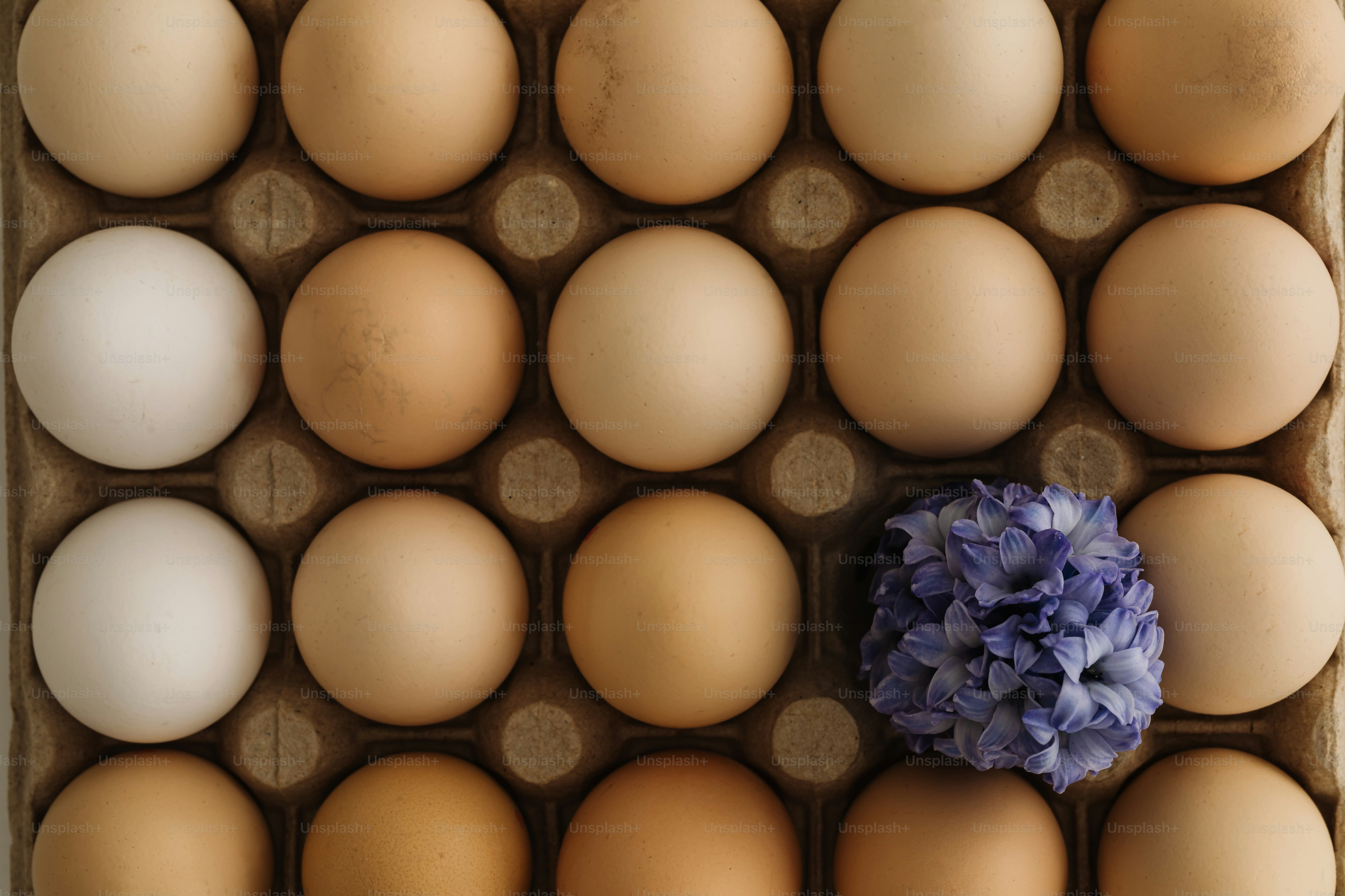 Eggs and a flower sit in a carton.