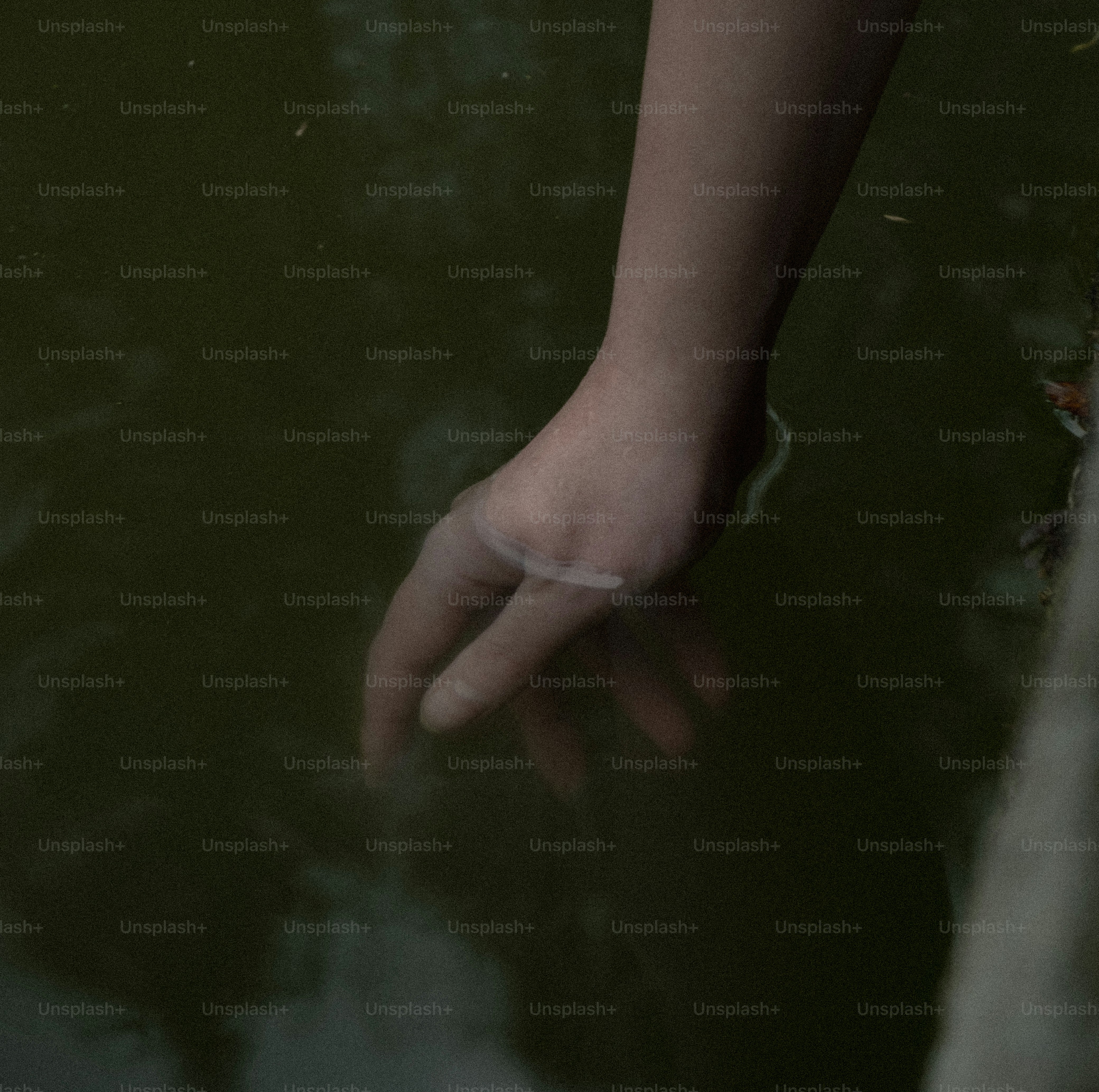 탁한 물에 손이 부드럽게 닿는다.