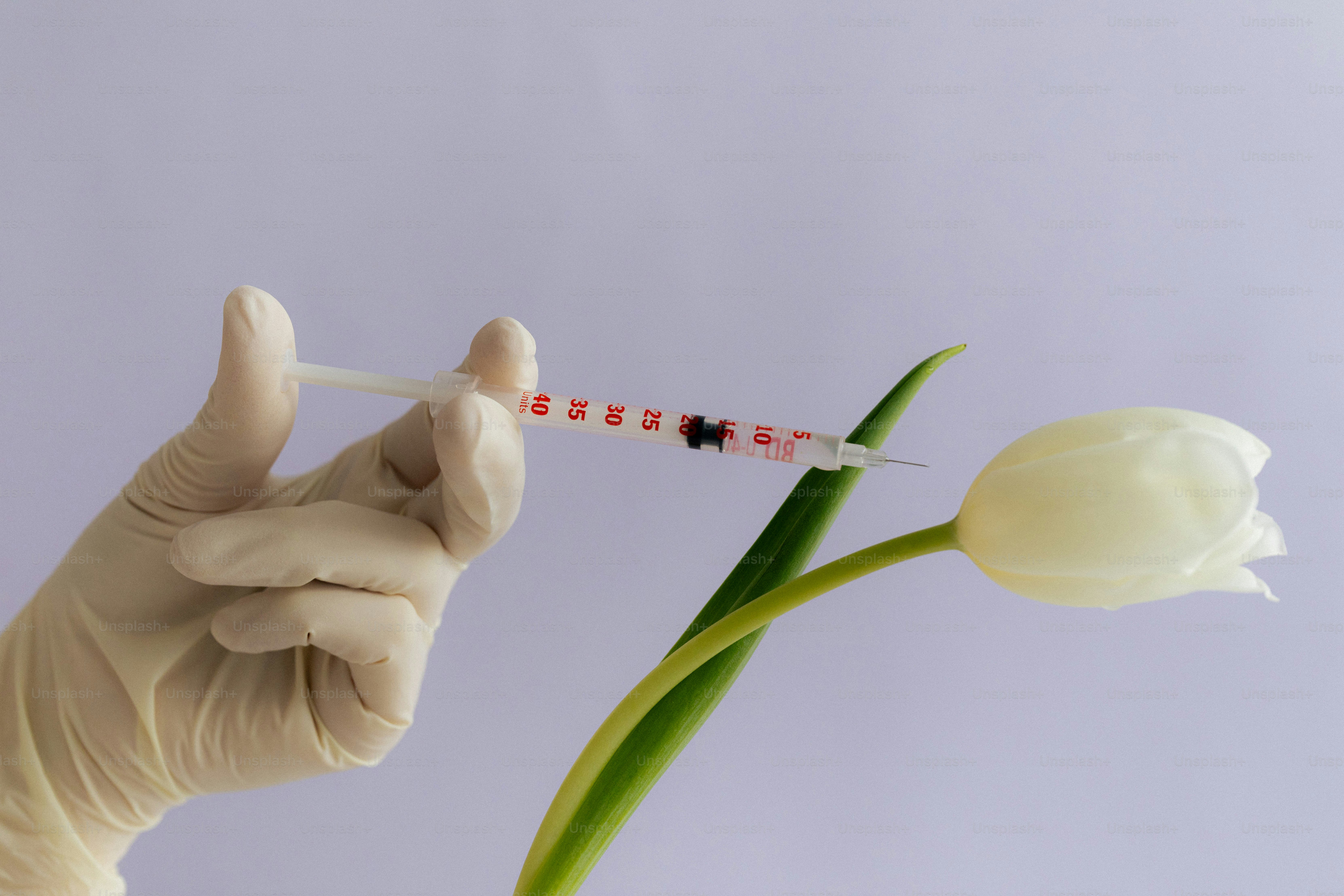 A syringe injects a white tulip.