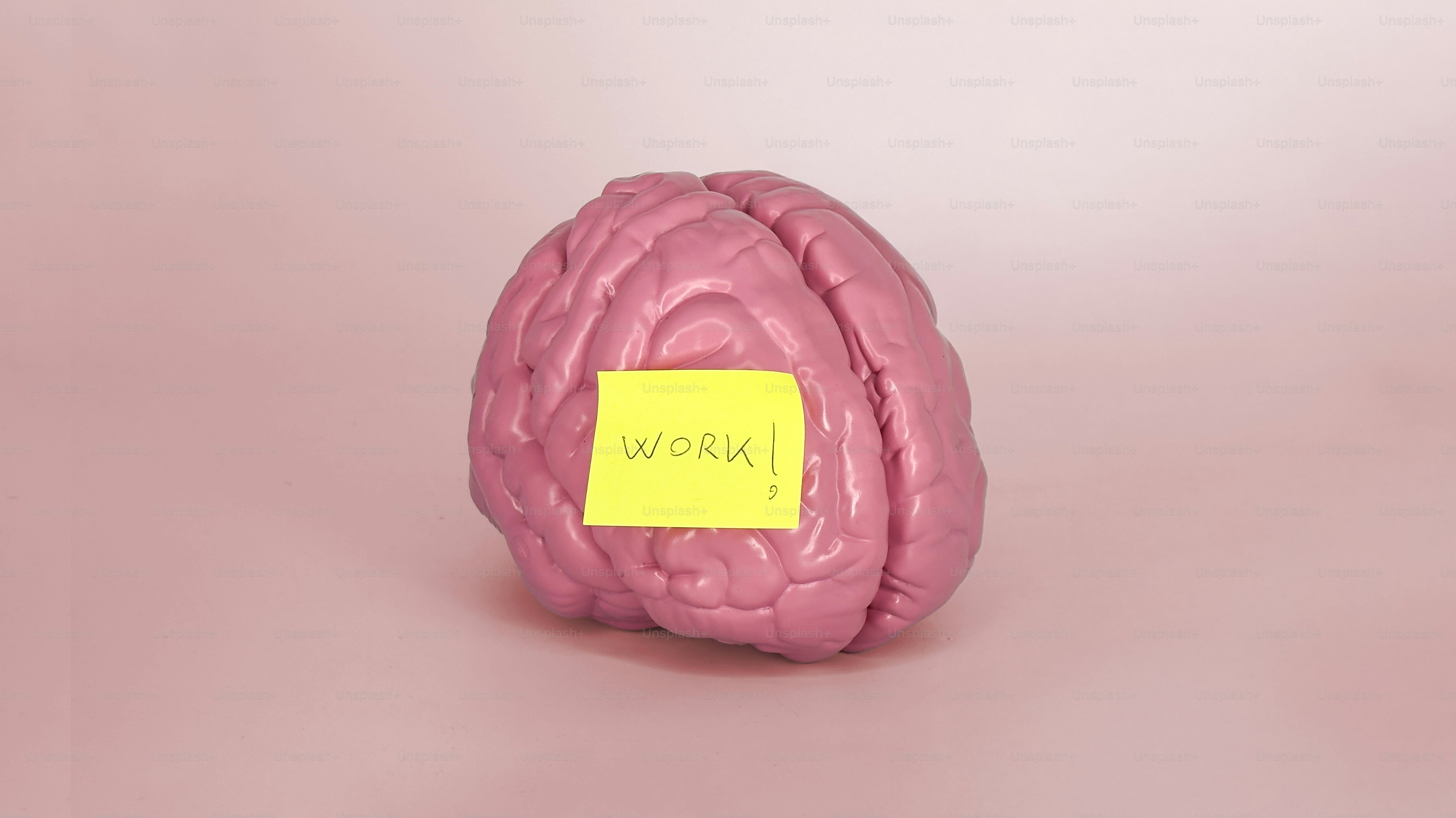 premium_photo-1744366612143-8acb71d835f3?ixid=M3wxMjA3fDB8MXxzZWFyY2h8OXx8YnJhaW4lMjBzdXBwb3J0JTIwc3VwcGxlbWVudHxlbnwwfHx8fDE3NTg5MjI1ODl8MA\u0026ixlib=rb-4.1.0