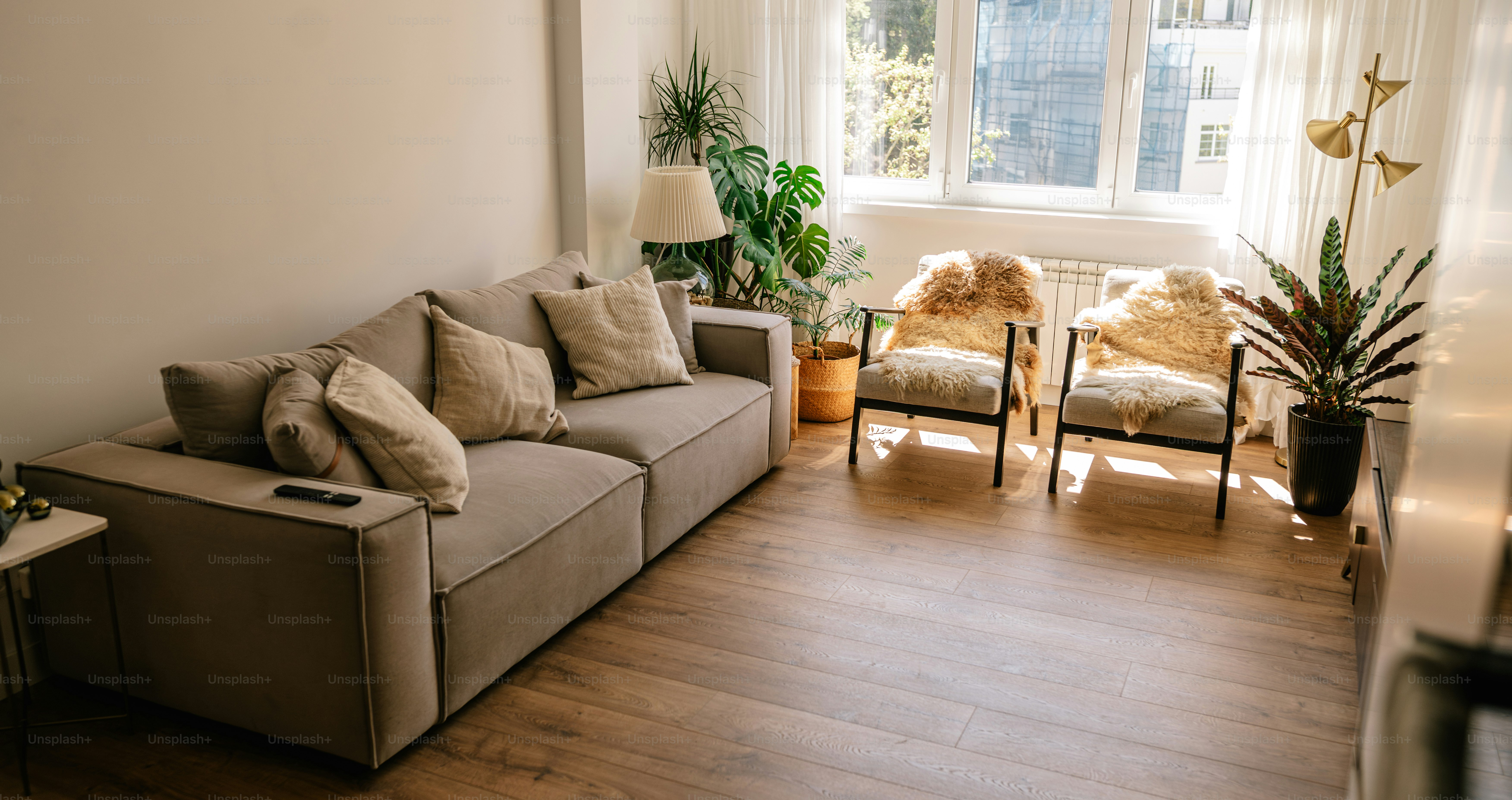 Bright living room with houseplants and natural light
