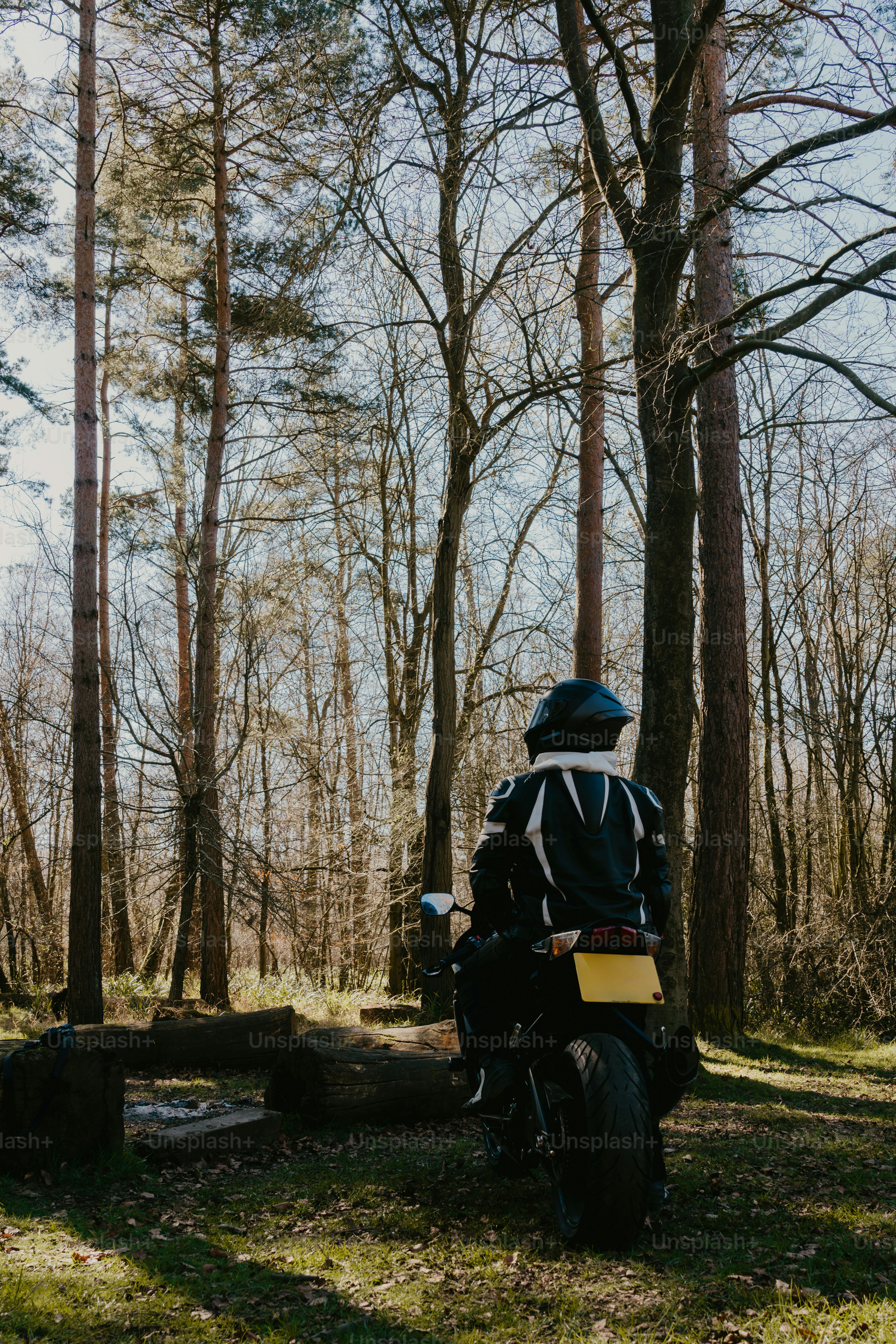 A motorcyclist sits in a forest on their bike.
