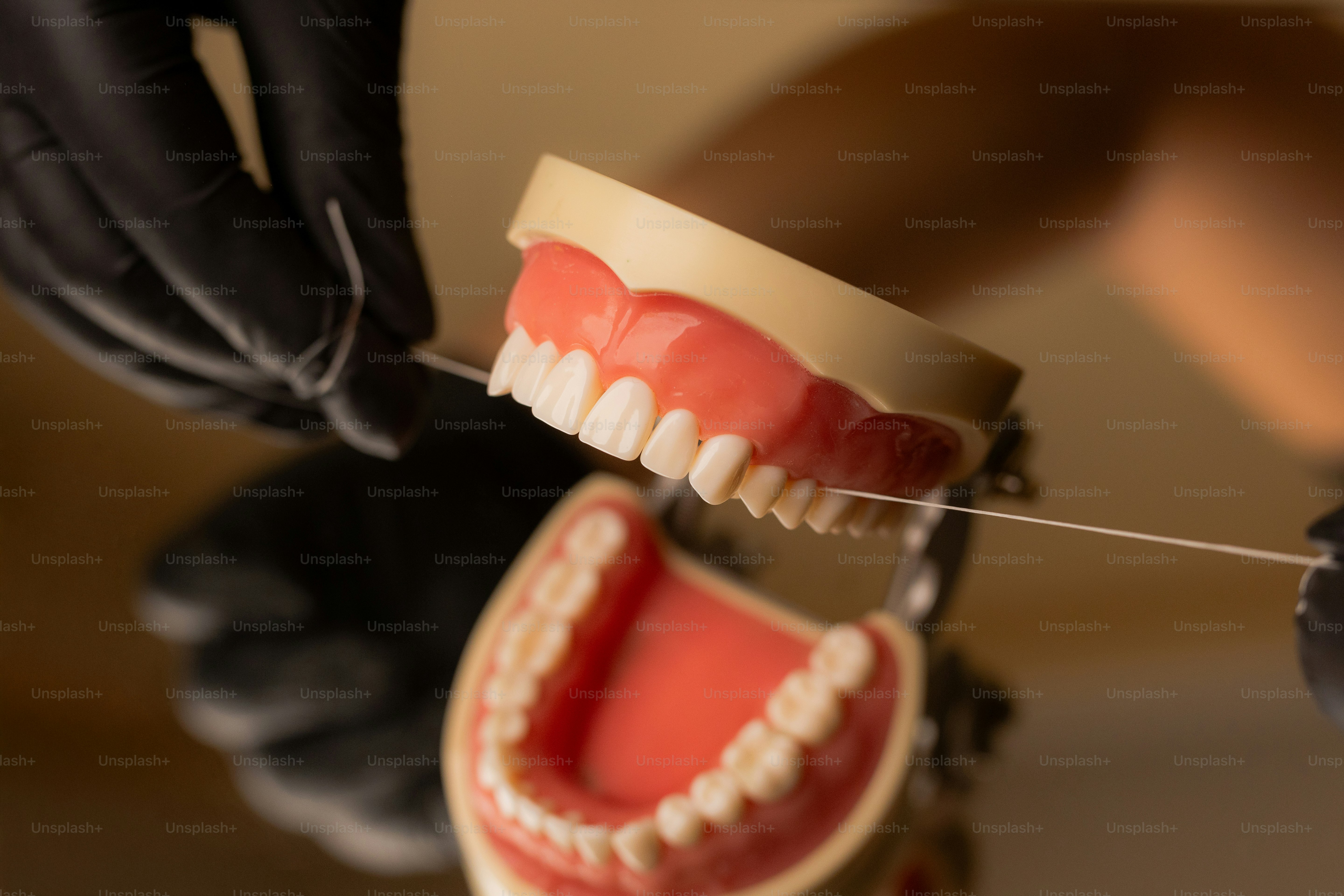 Dental floss is being used on a dental model.