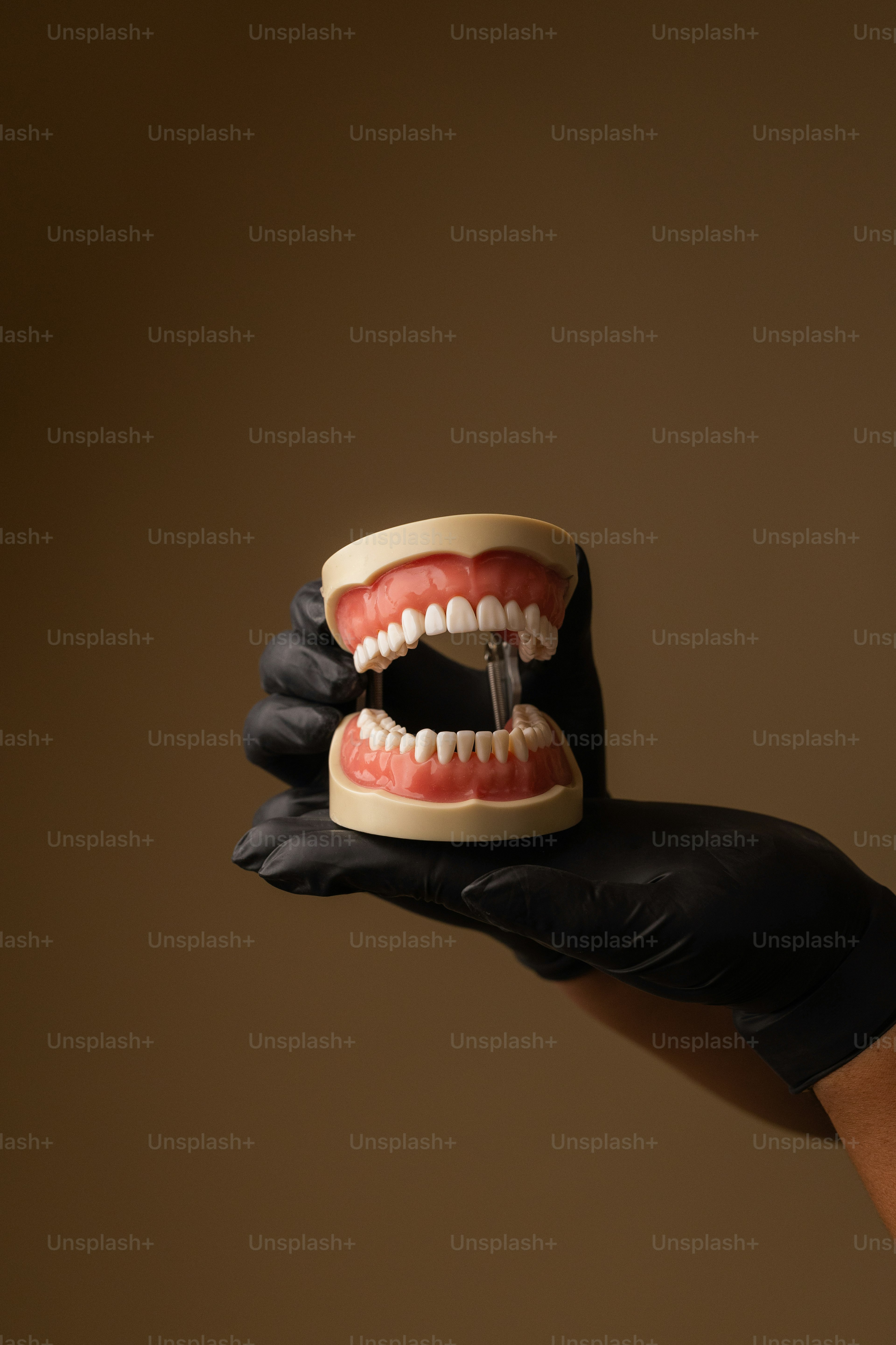 Una mano en un guante sosteniendo un modelo dental.