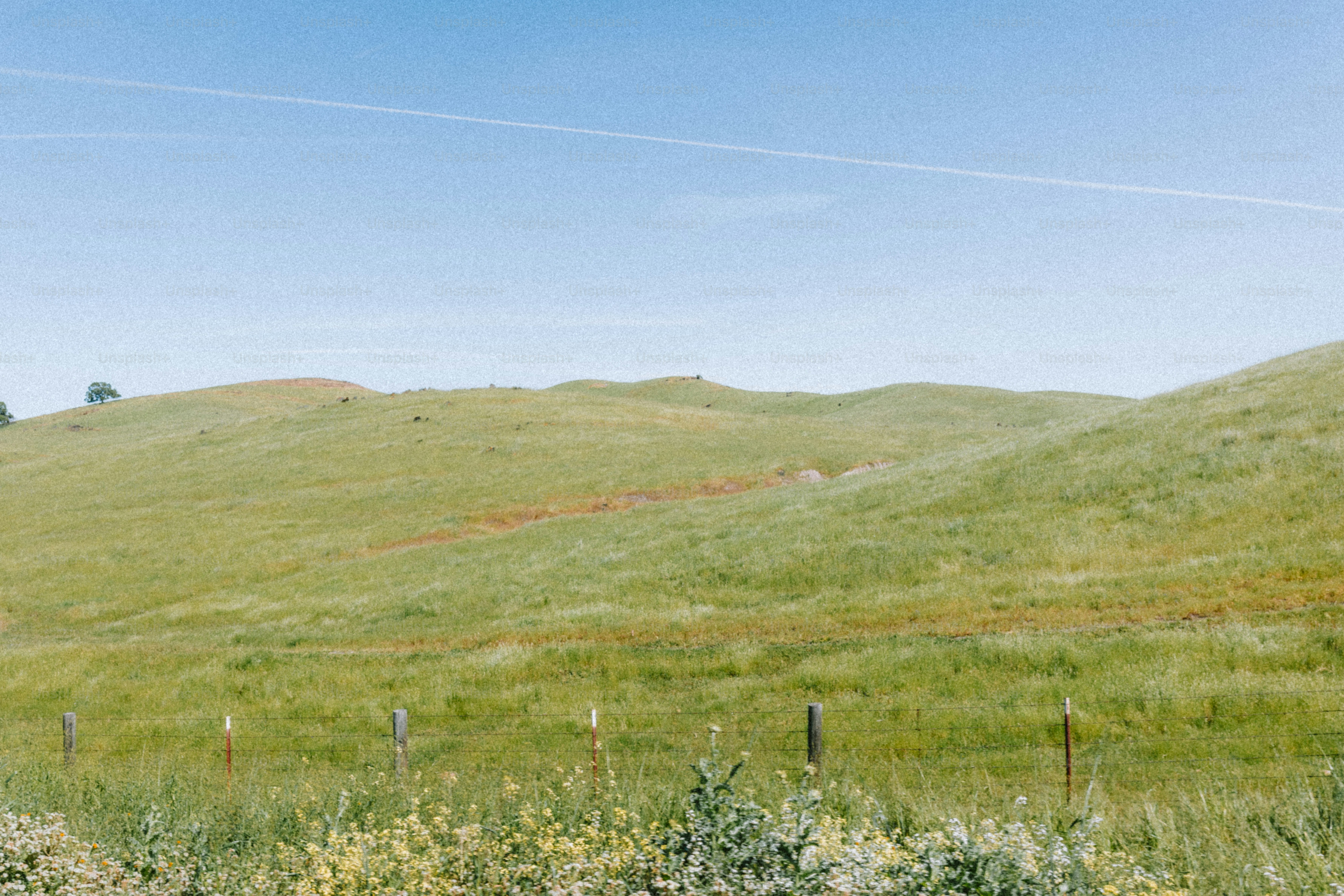Rolling green hills under a bright blue sky.