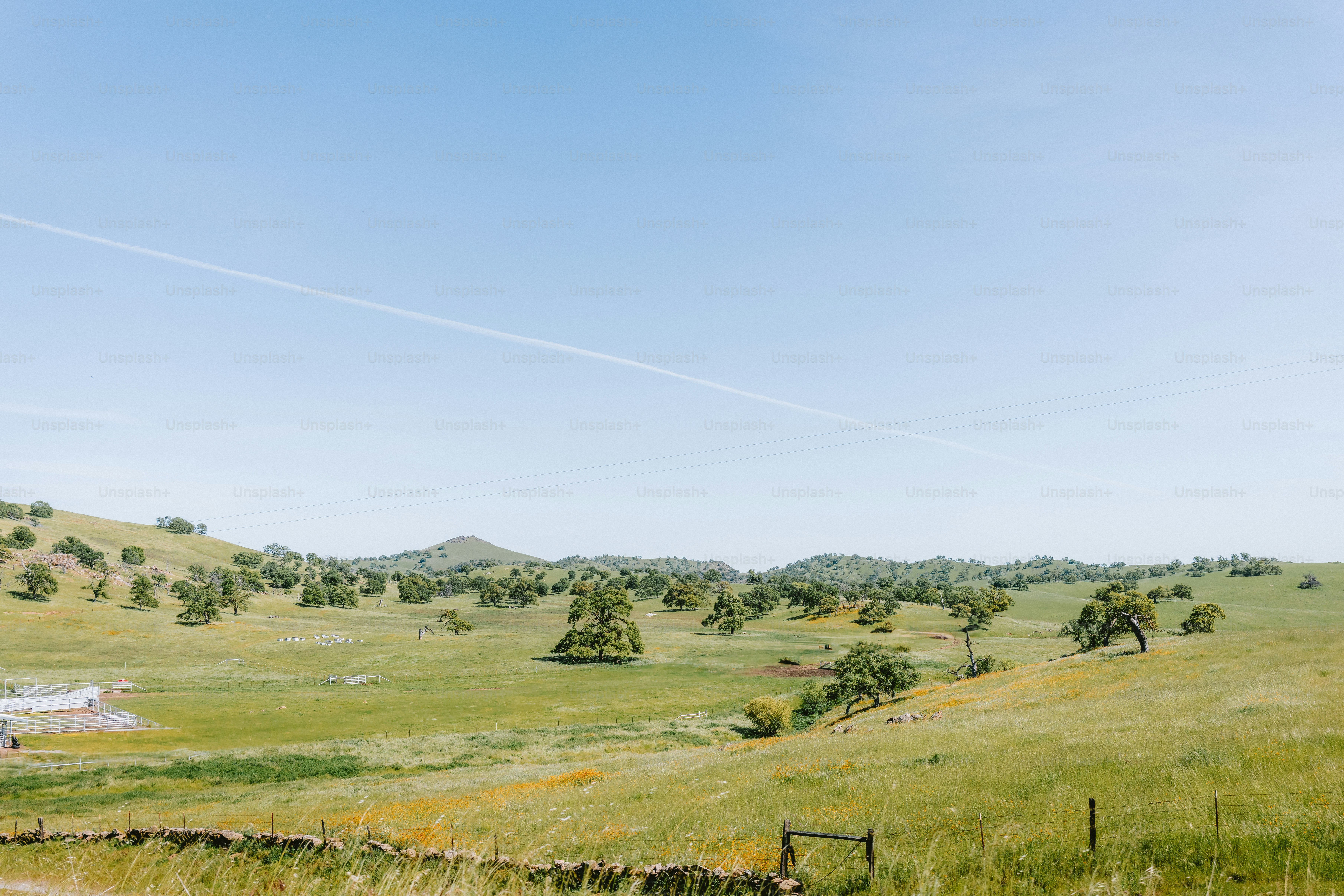 Rolling green hills under a bright blue sky.