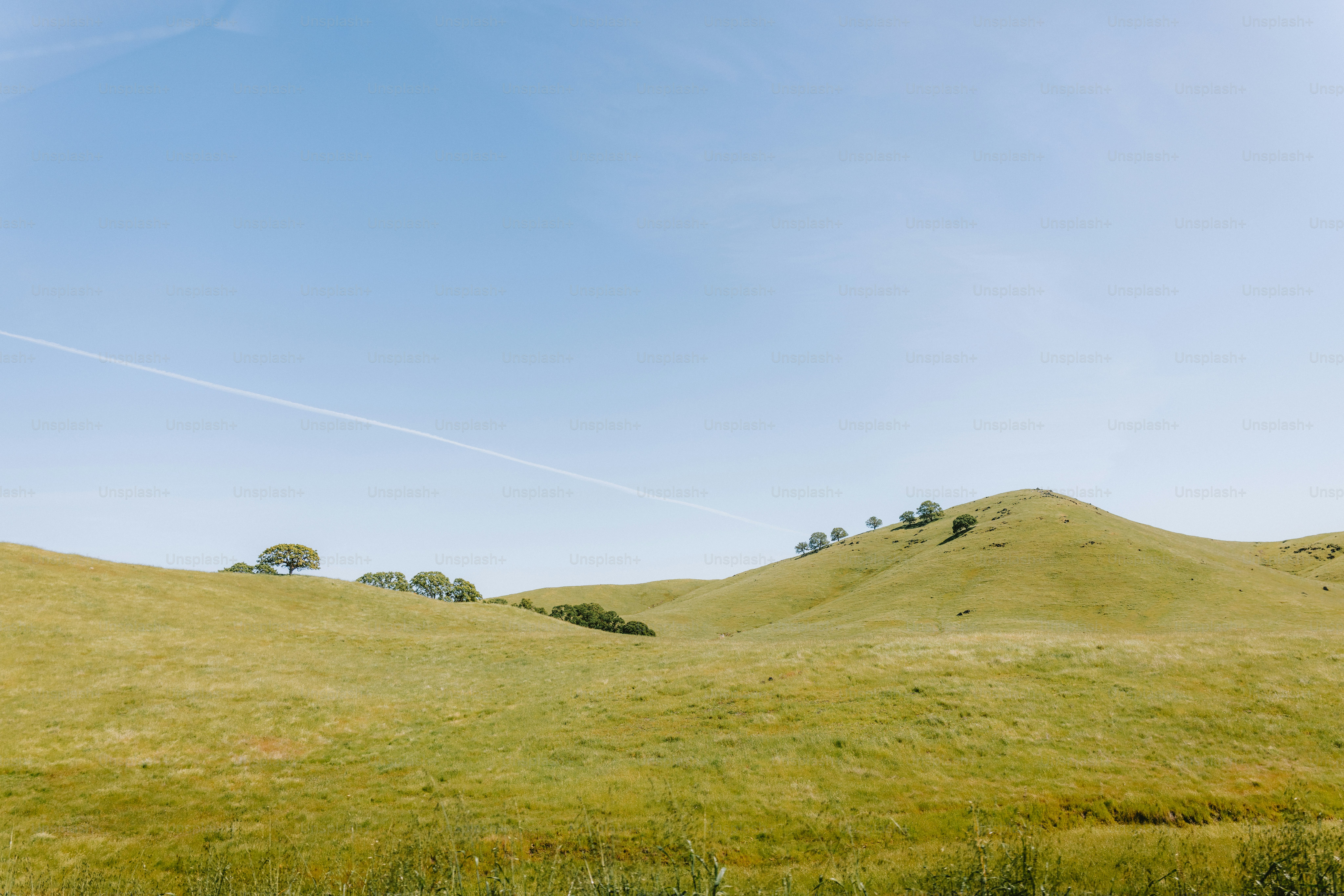 Rolling green hills under a clear blue sky.