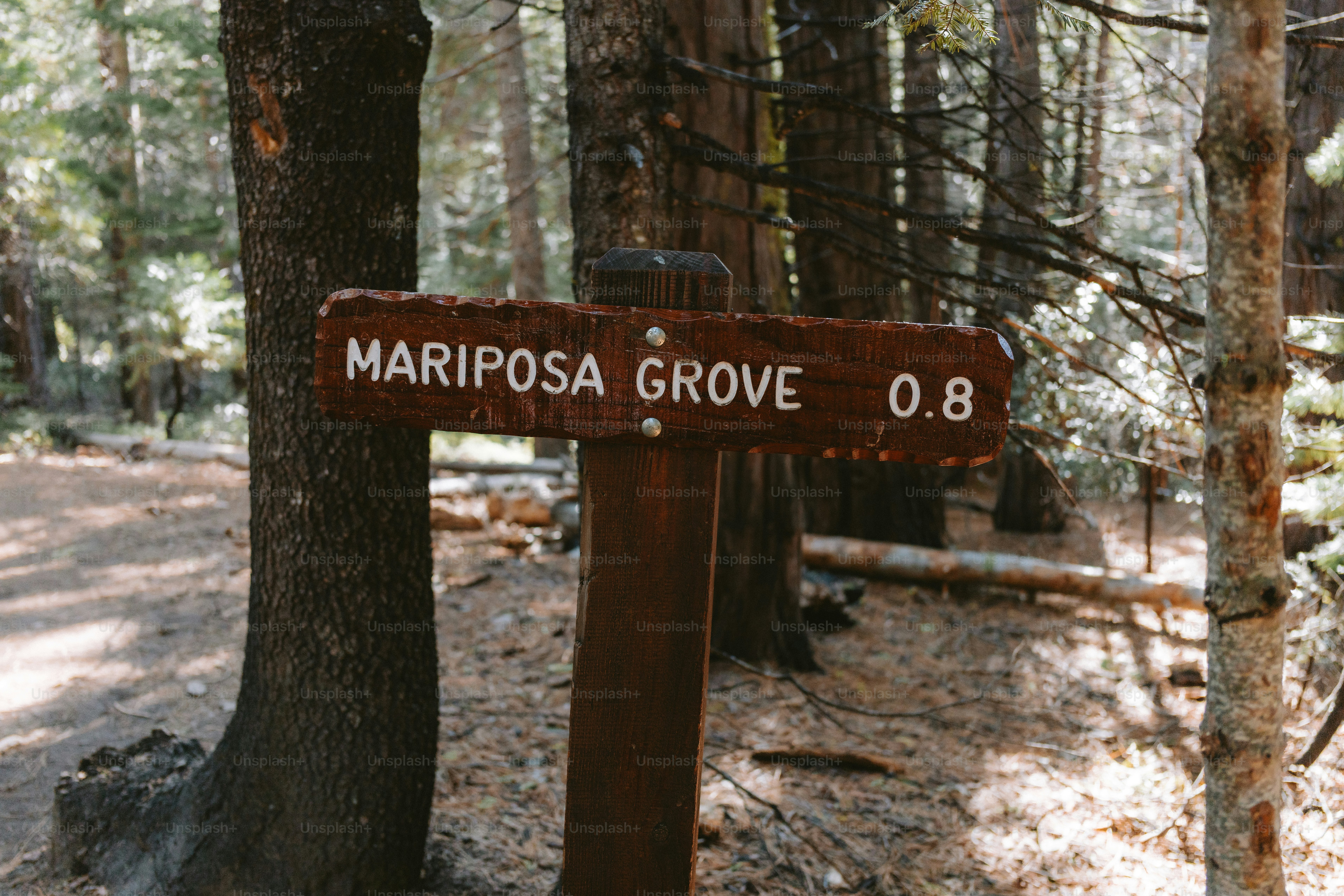 看板は、0.8マイル離れたマリポーサグローブを指しています。