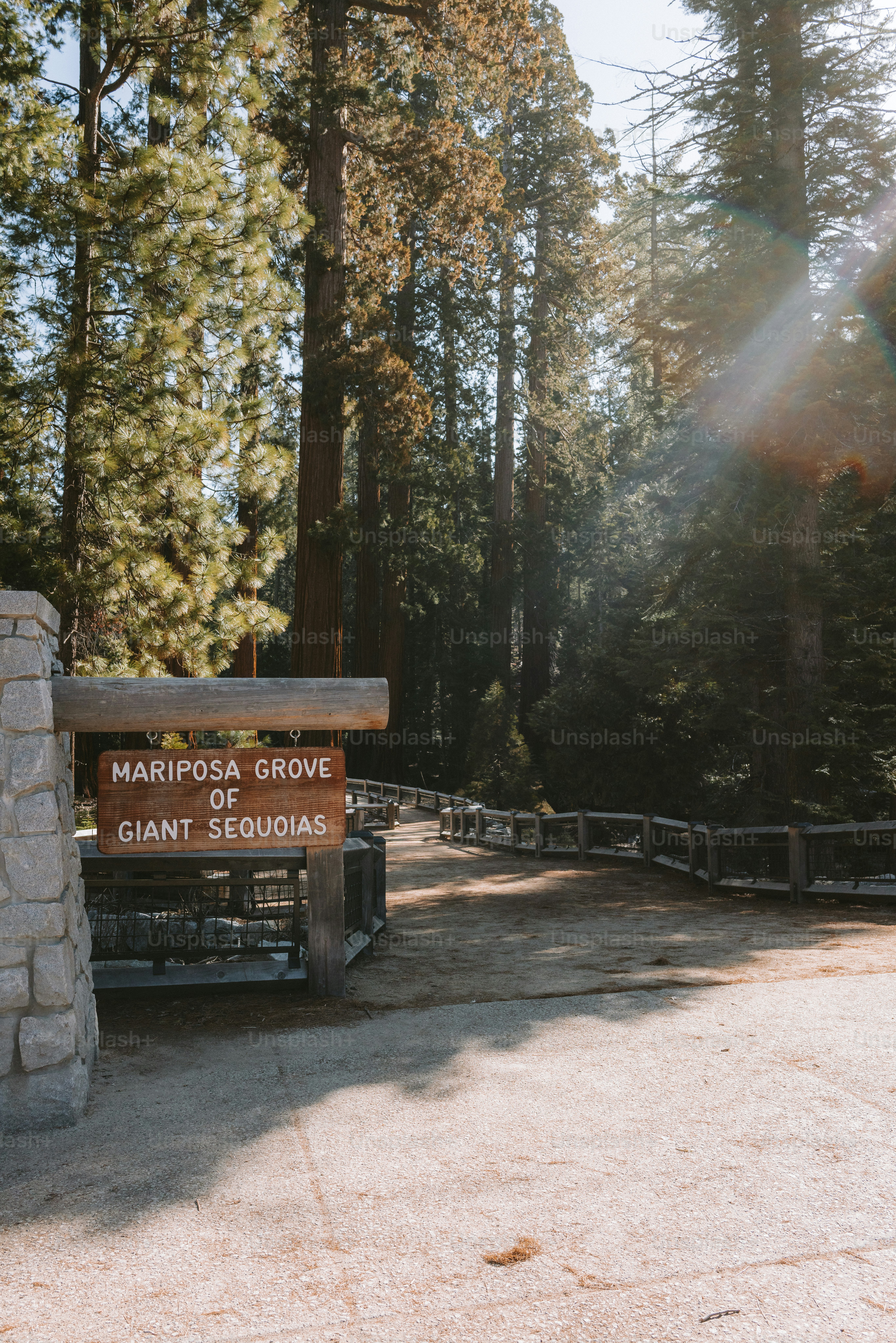 Mariposa grove of giant sequoias entrance.